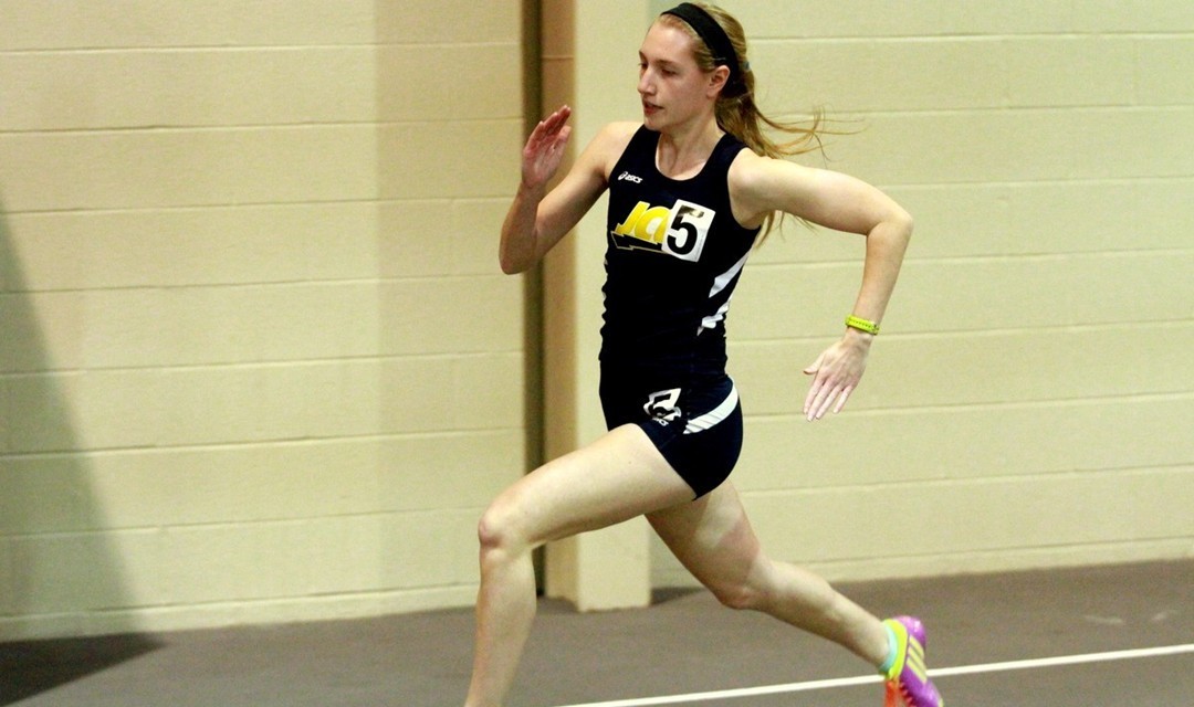 Schmidt State 013016