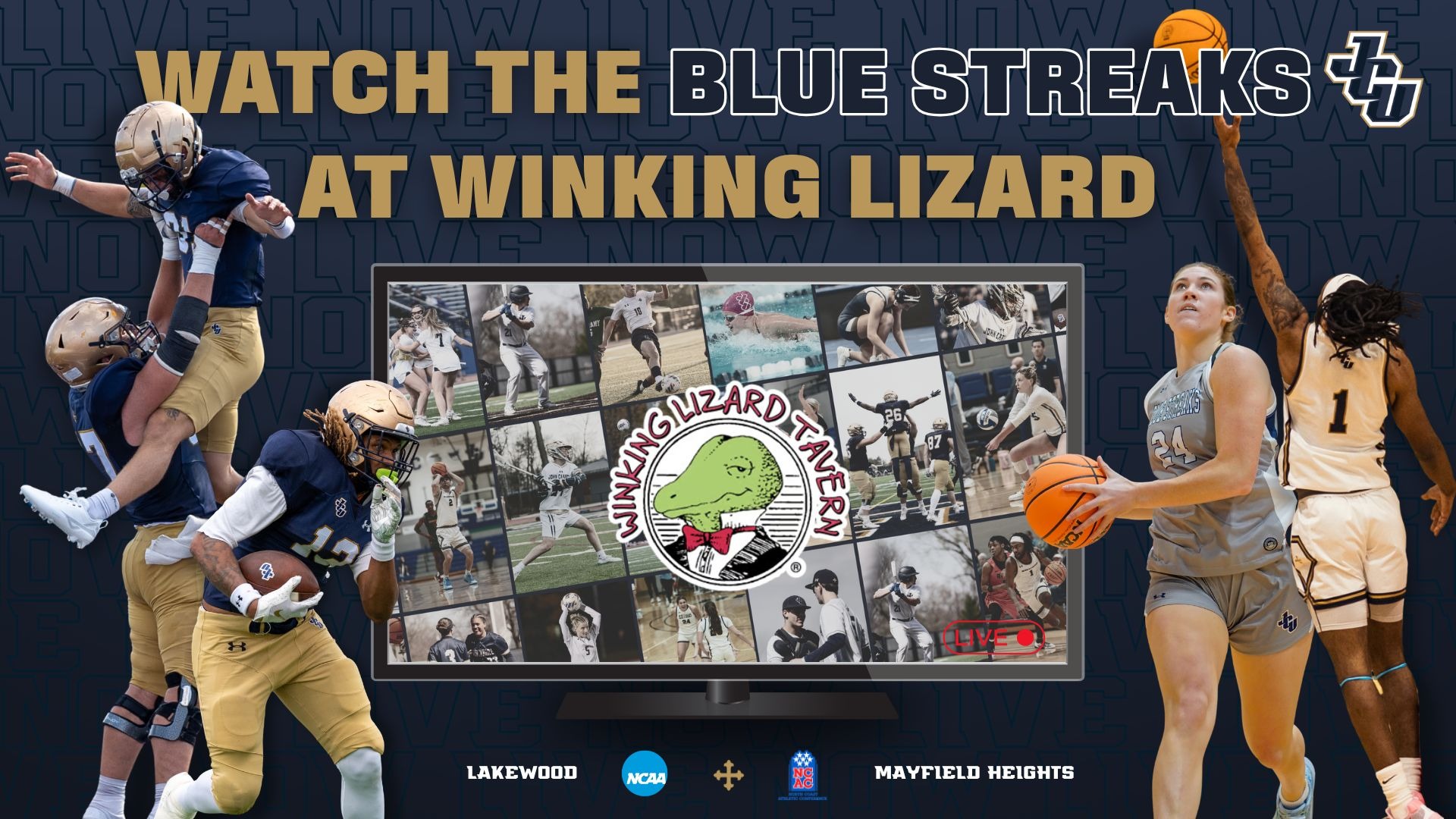 Winking Lizard graphic