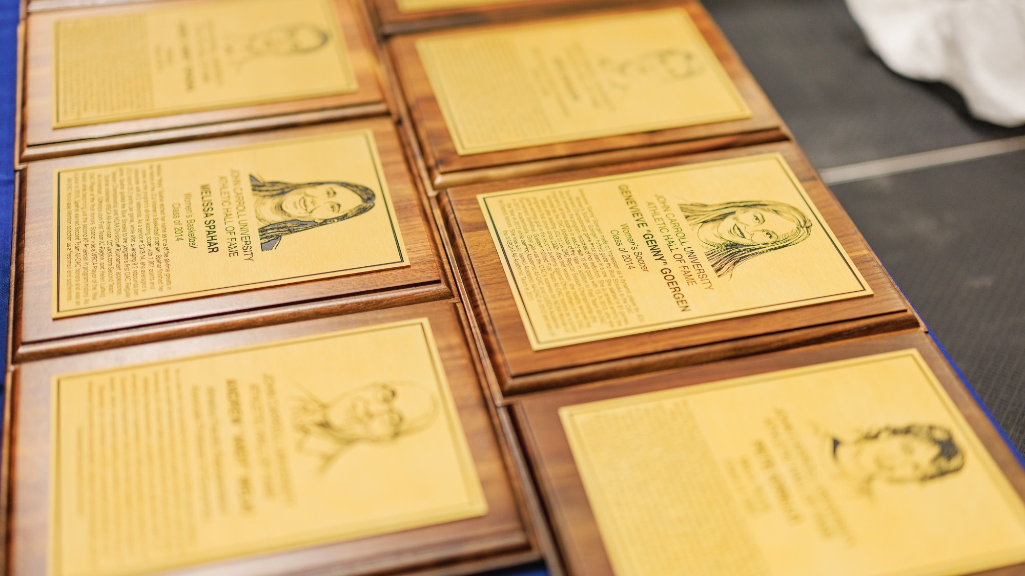 2024 Hall of Fame plaques shot