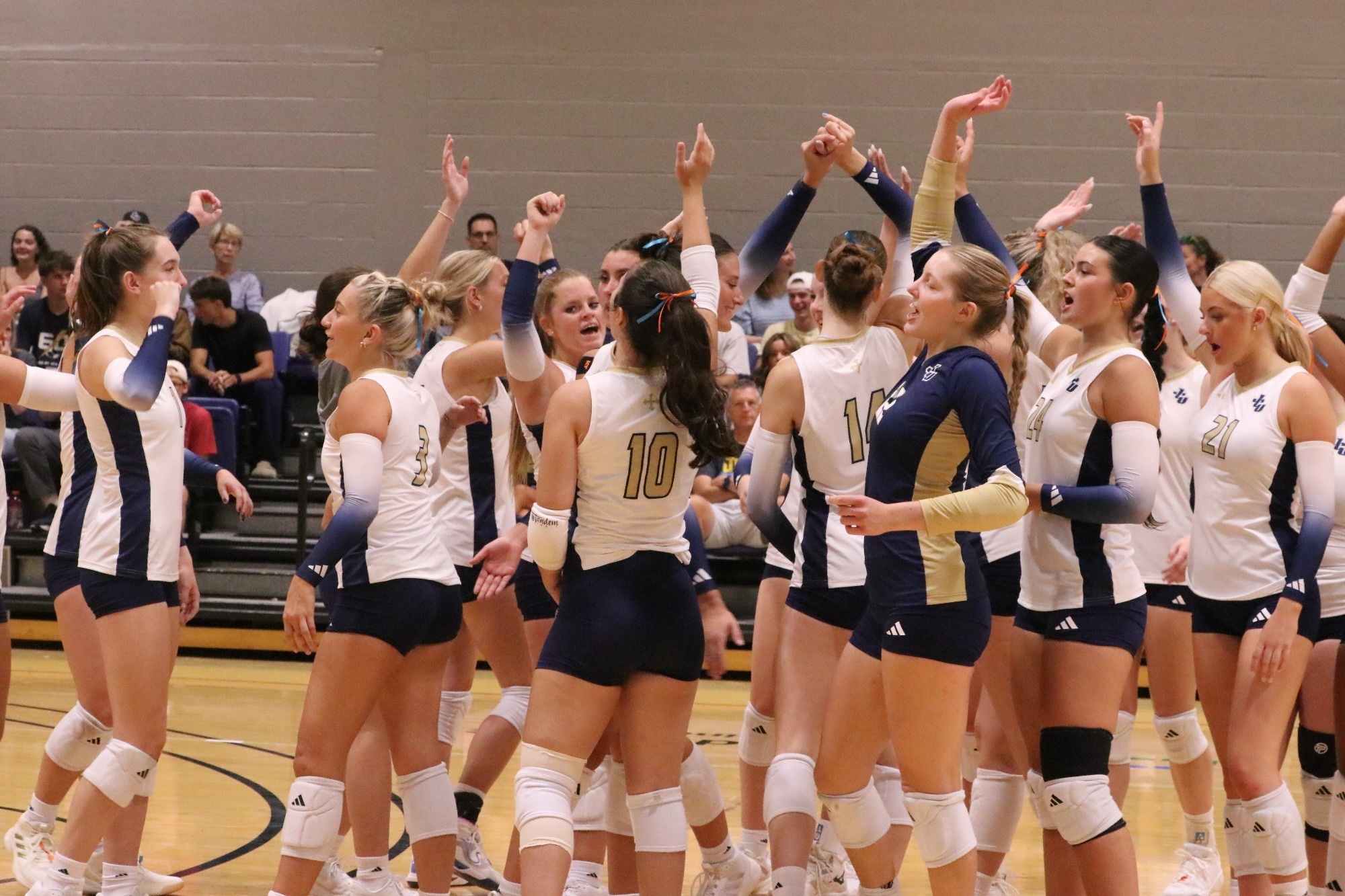 VB vs 