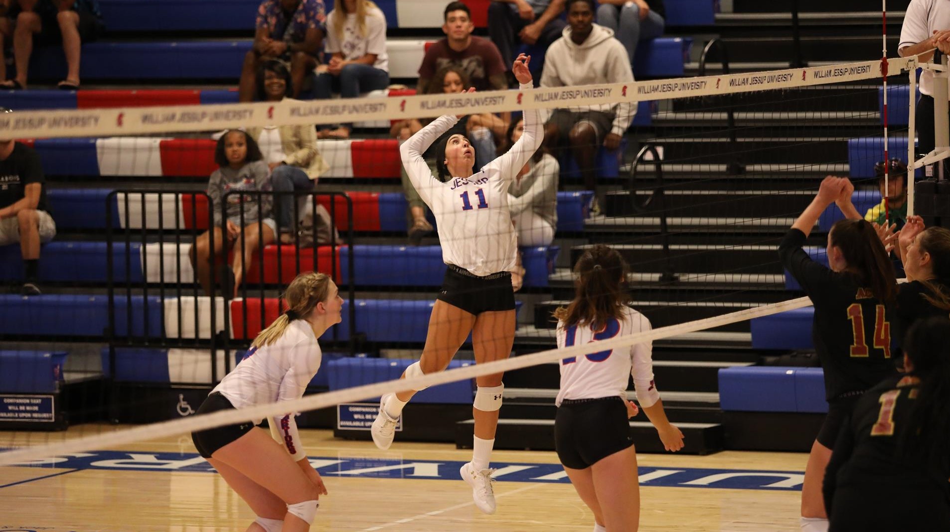 Michaela Zapata 2019 Women's Volleyball Jessup University Athletics