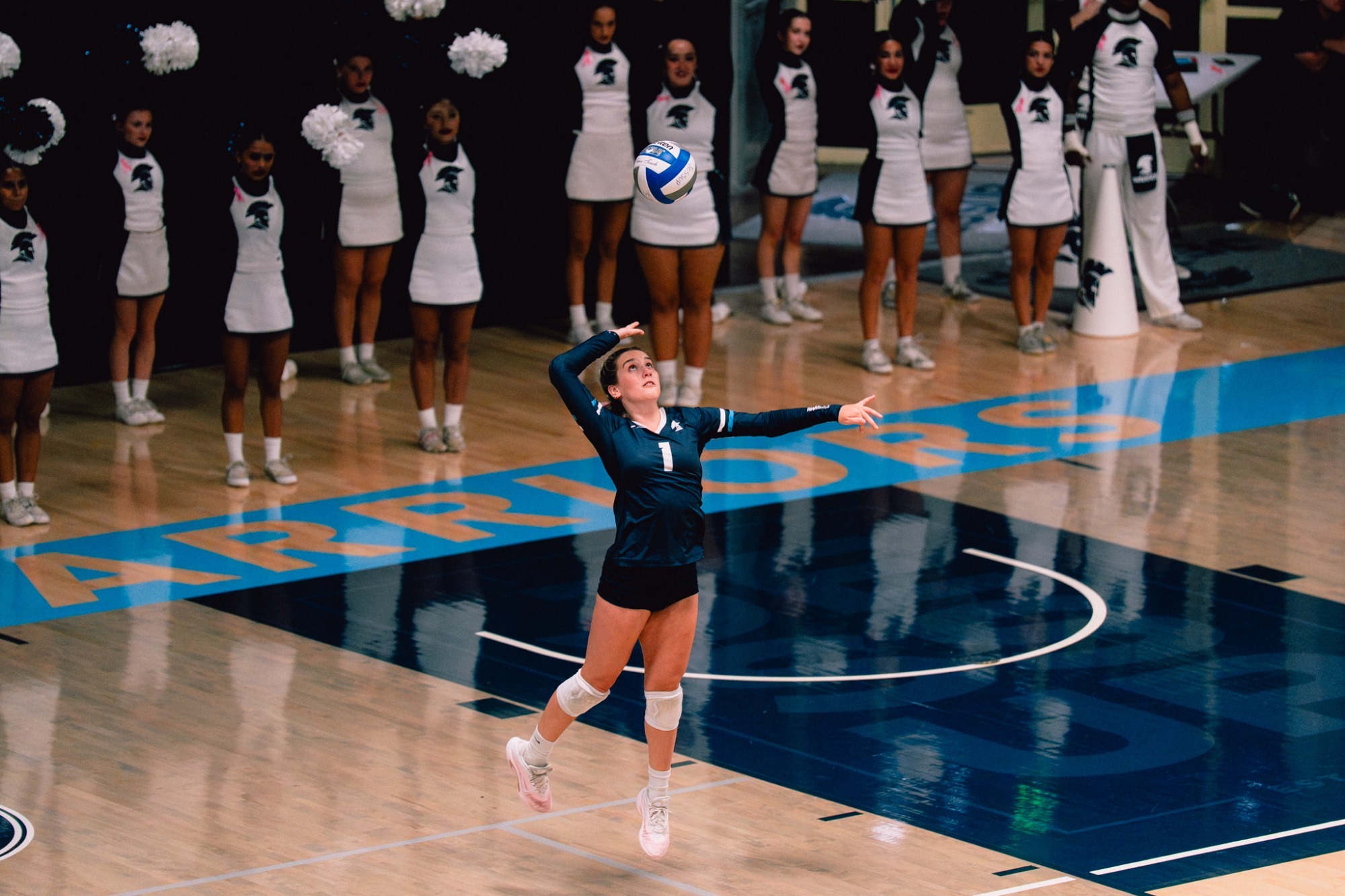 WVB 11.13