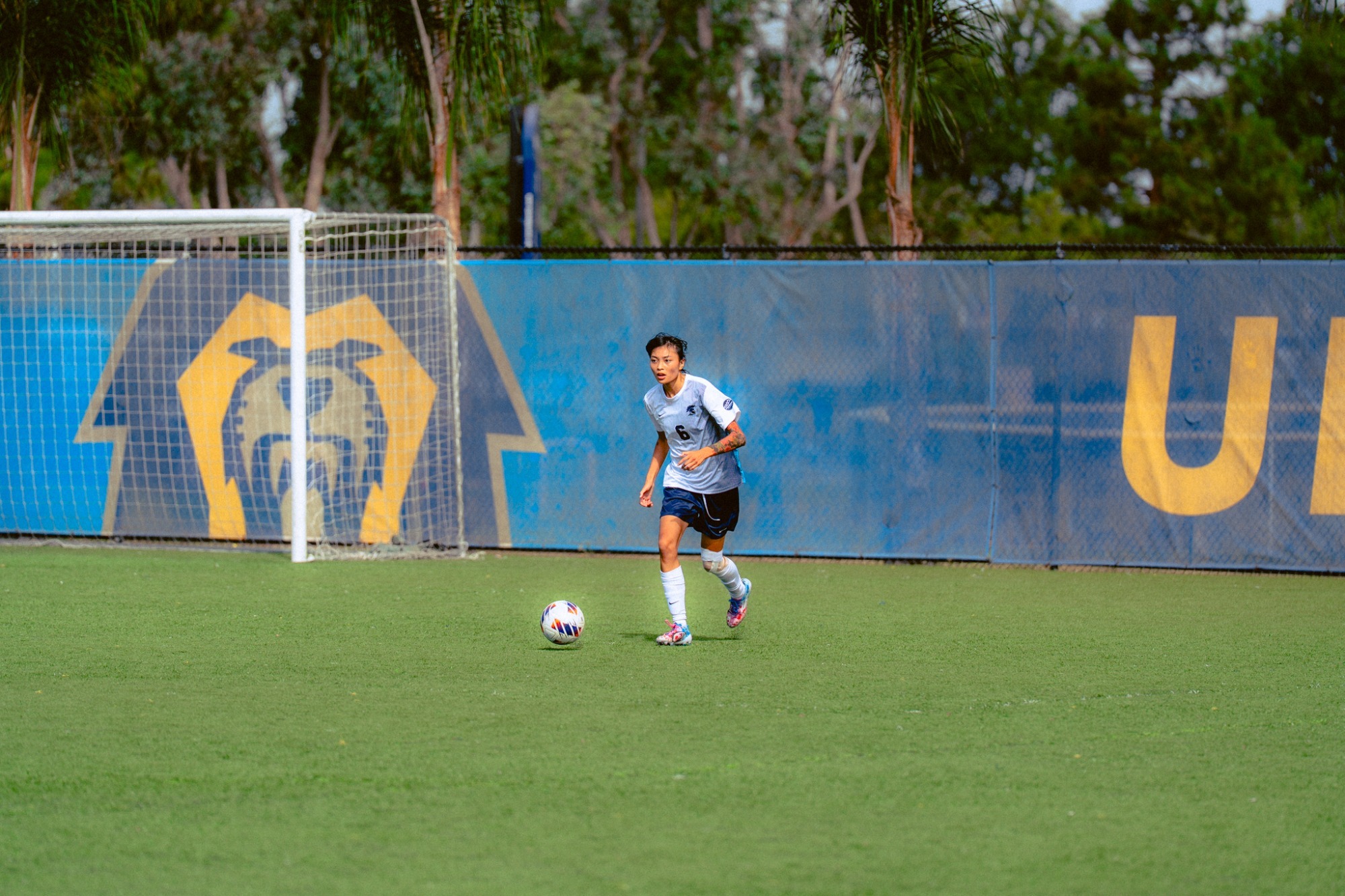 WSOC 11.8