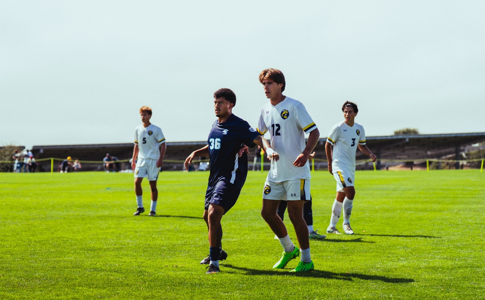 msoc