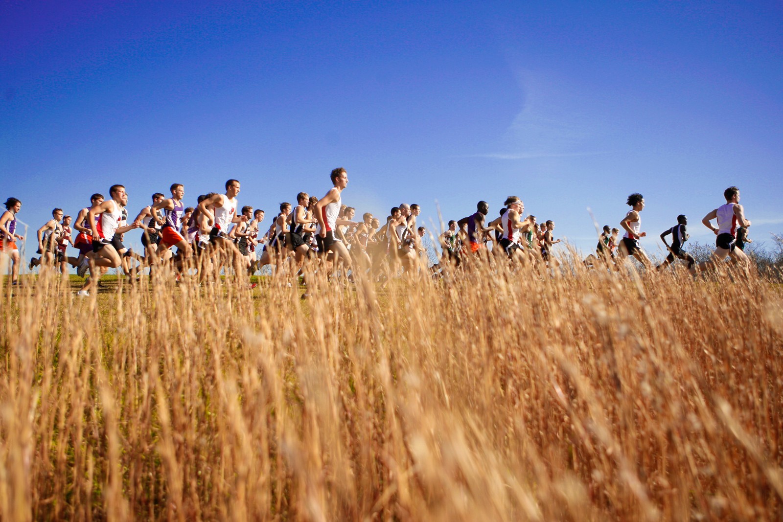 Cross Country