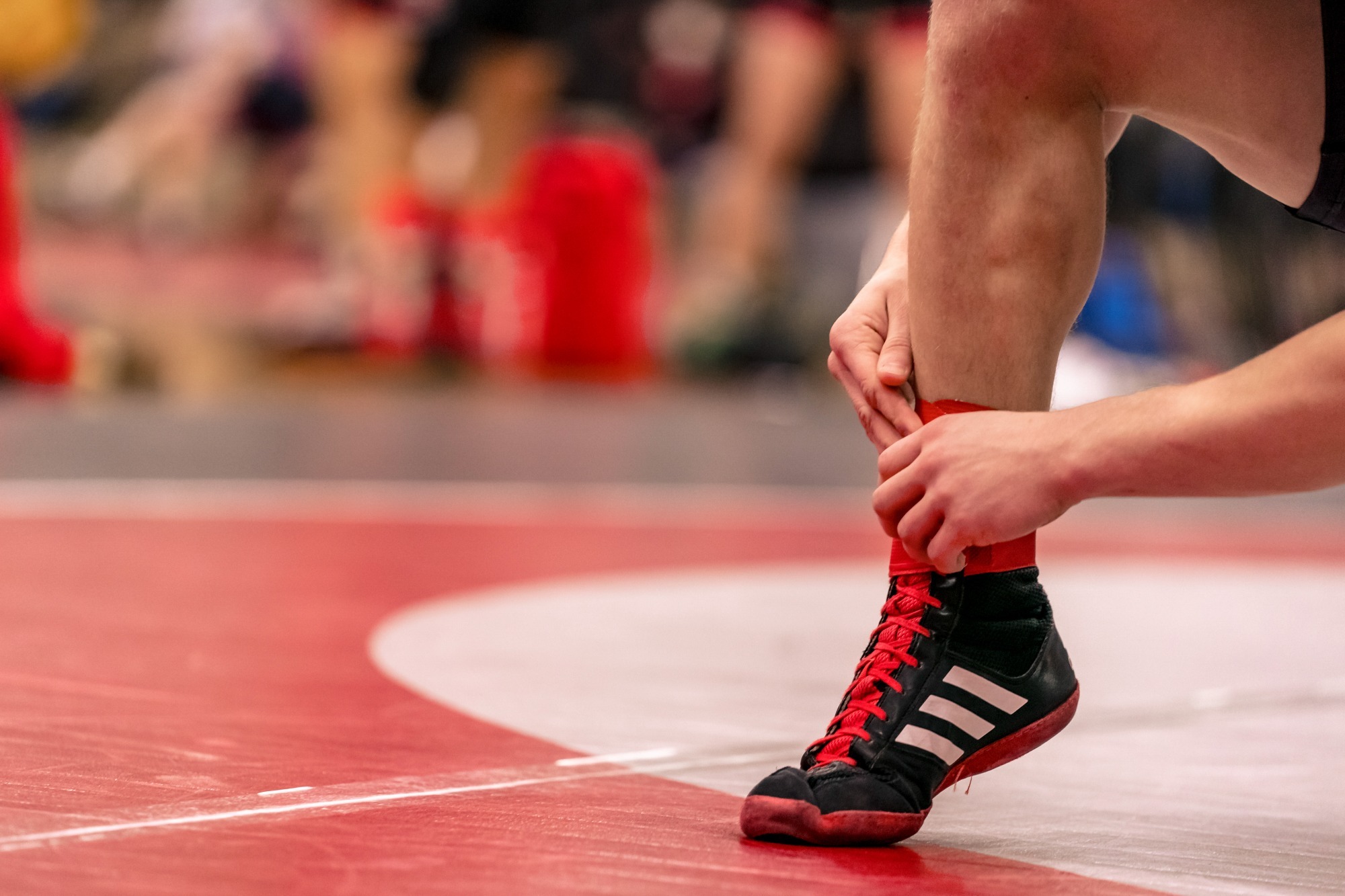 Men's Wrestling shoe