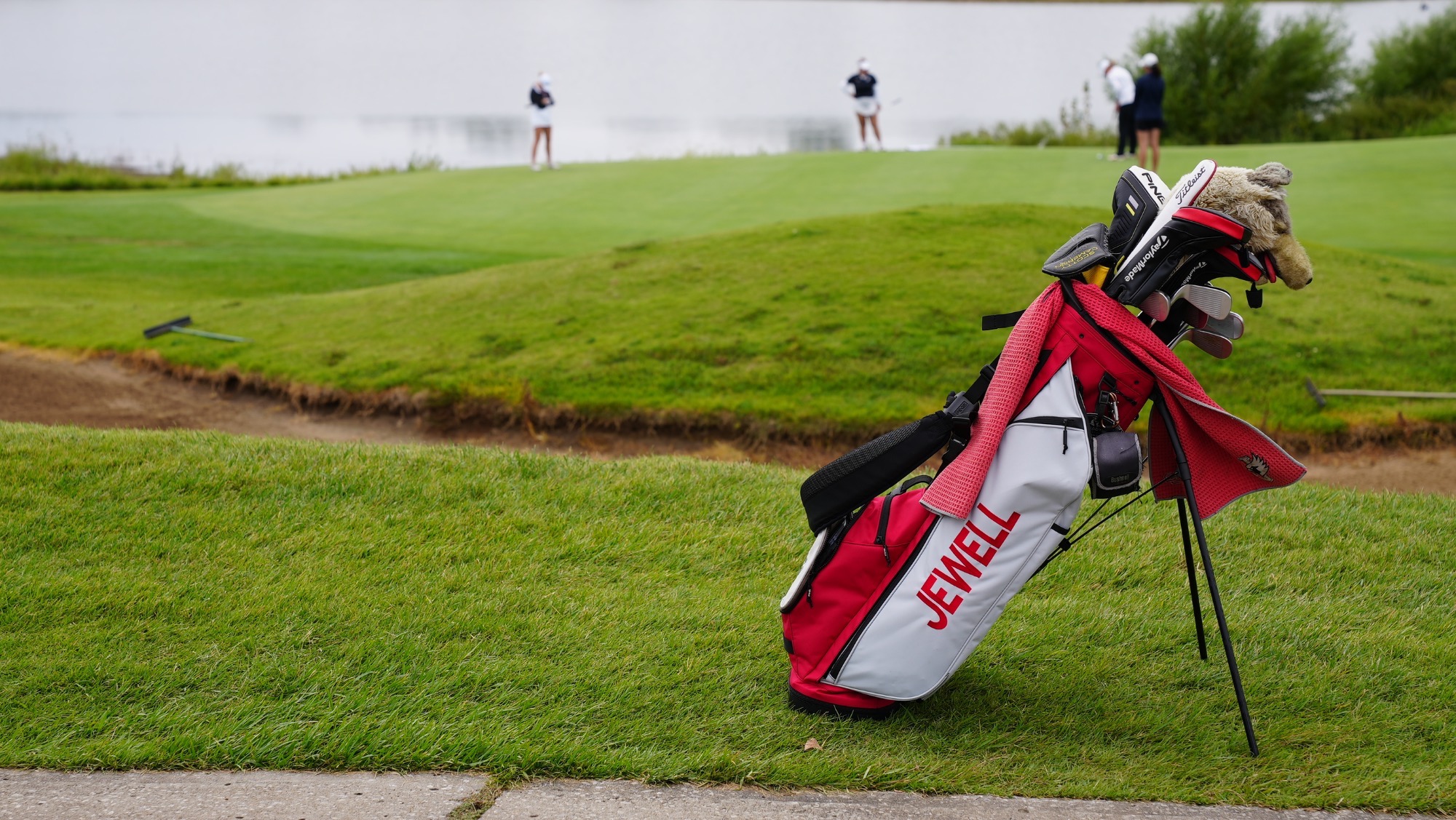 Jewell Golf Bag