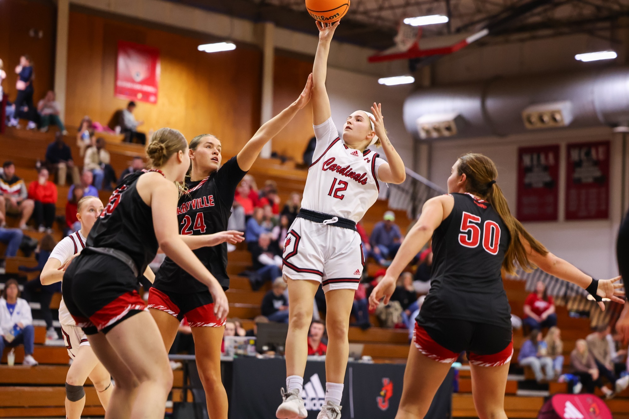 Anna Daughtry shooting