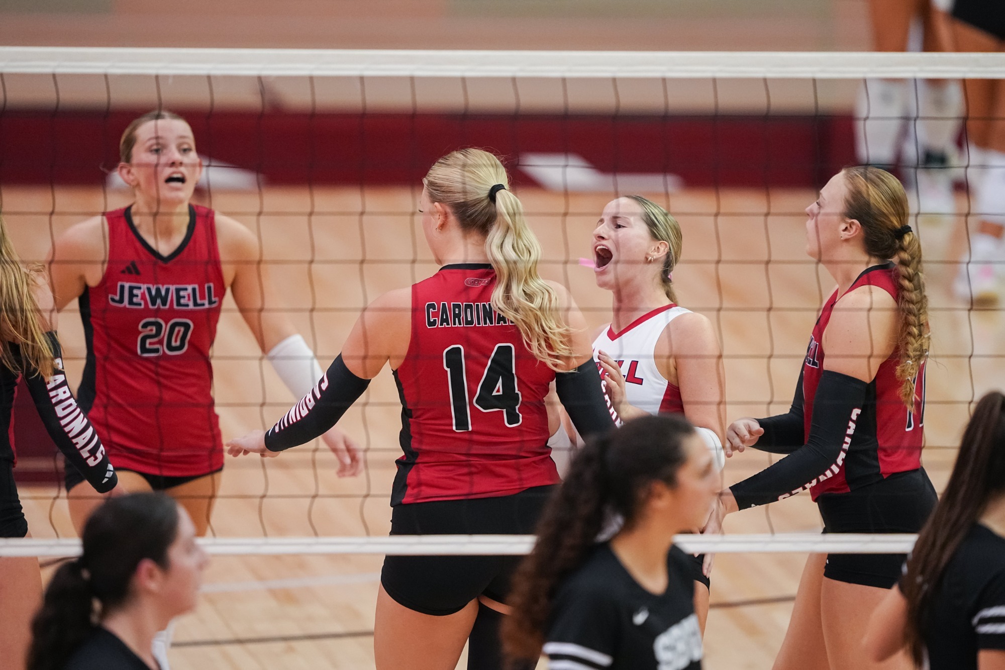 Brianna Witthar, Madison Rowney, Kelsey Keling, and Emily Brannan celebrate a point with a volleyball net slightly blurred in the foreground