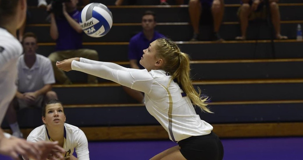 Sarah Driscoll Volleyball James Madison University Athletics