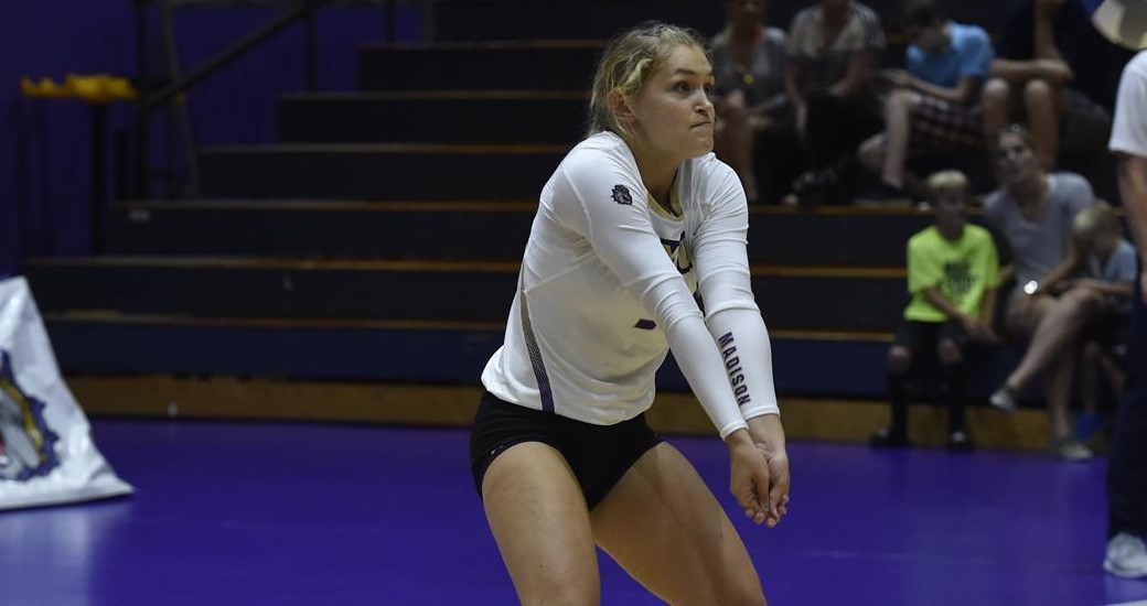 Sarah Driscoll Volleyball James Madison University Athletics