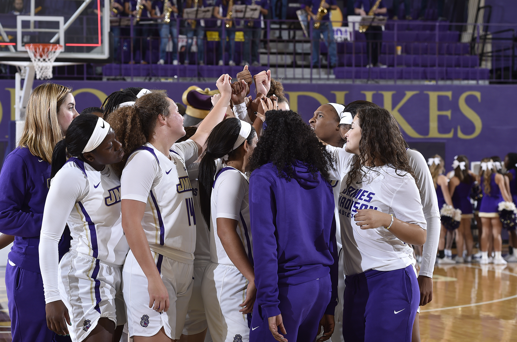 Kelly Koshuta Women's Basketball James Madison University Athletics