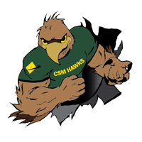 Opponent Logo