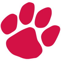 Opponent Logo