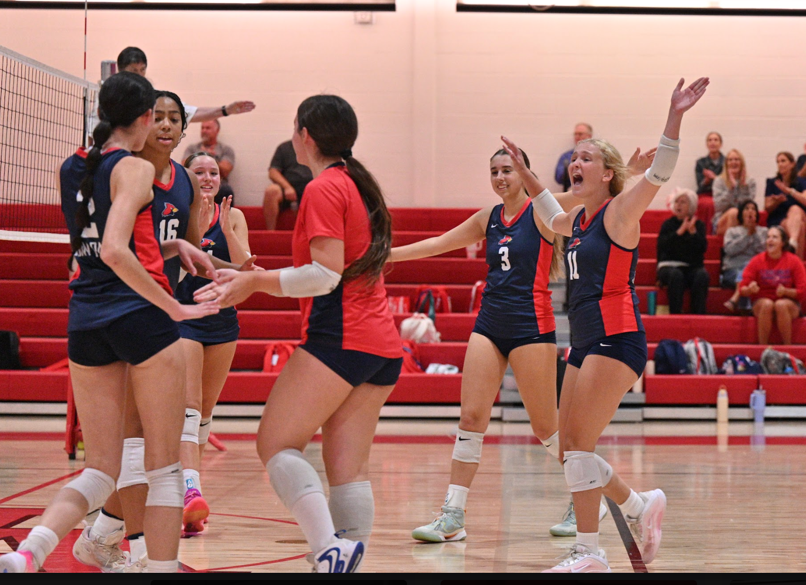Cardinal Volleyball