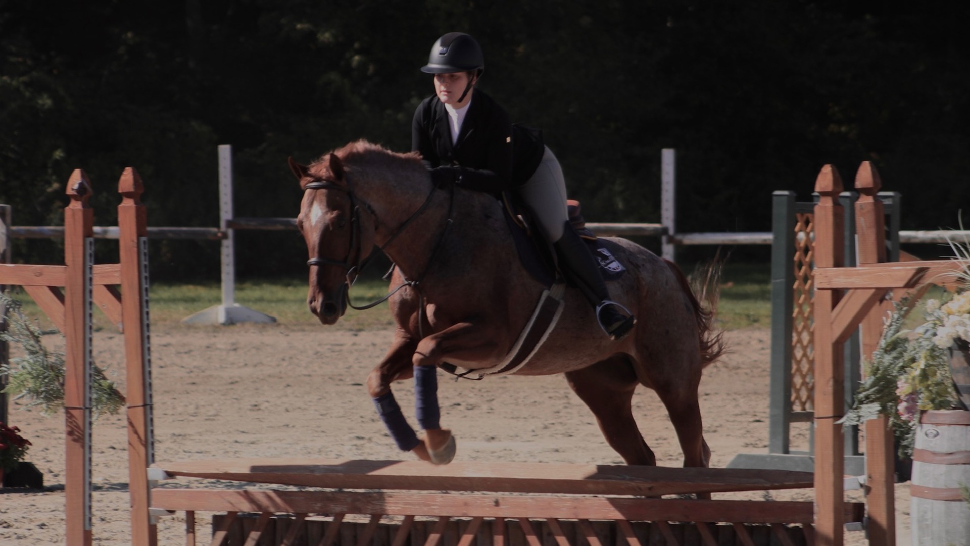 Emma Pologonia and the Wildcats placed second on Saturday.