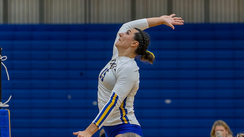 Katelyn O'Brien and the Wildcats fell to Endicott on Saturday.