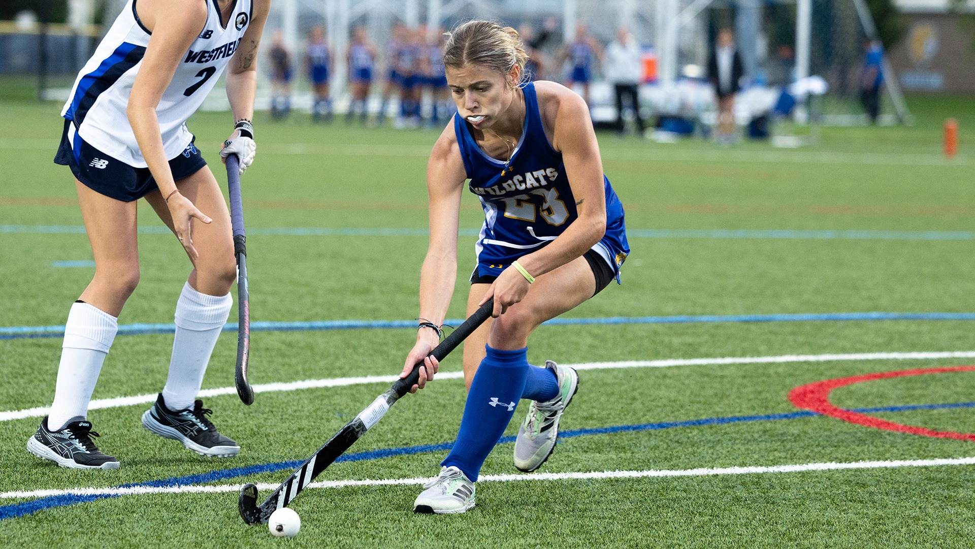Zofia Bangs was honored by the NFHCA.