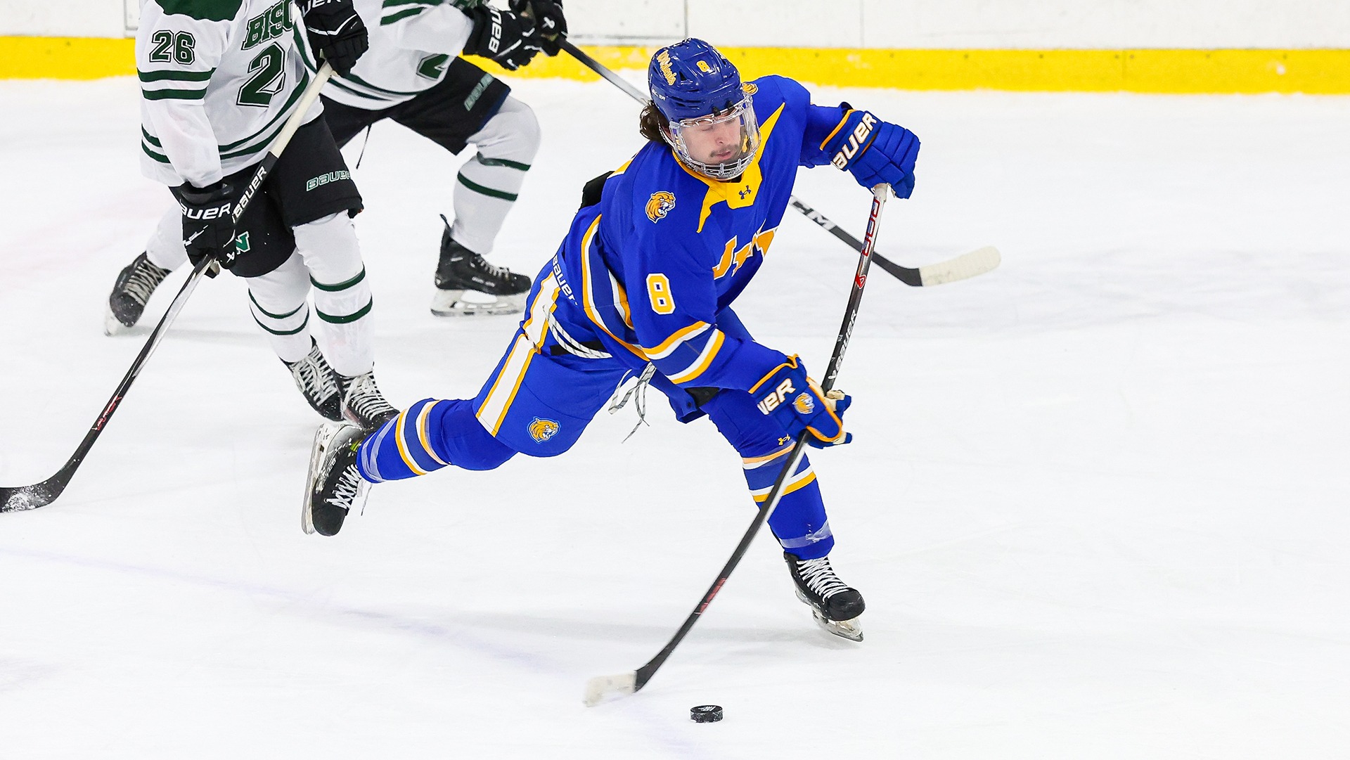 Cam Martin and the Wildcats downed WNE.