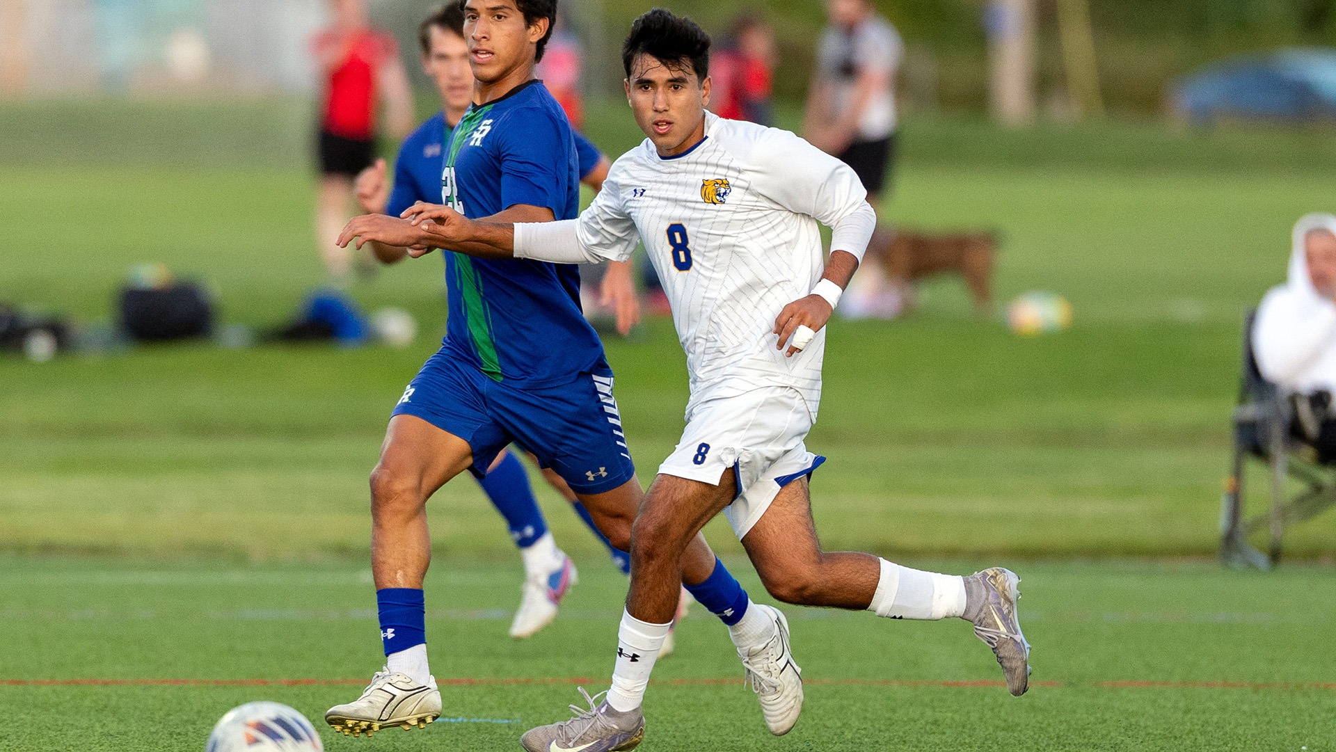 Christopher Vargas and the Wildcats played Endicott on Saturday.