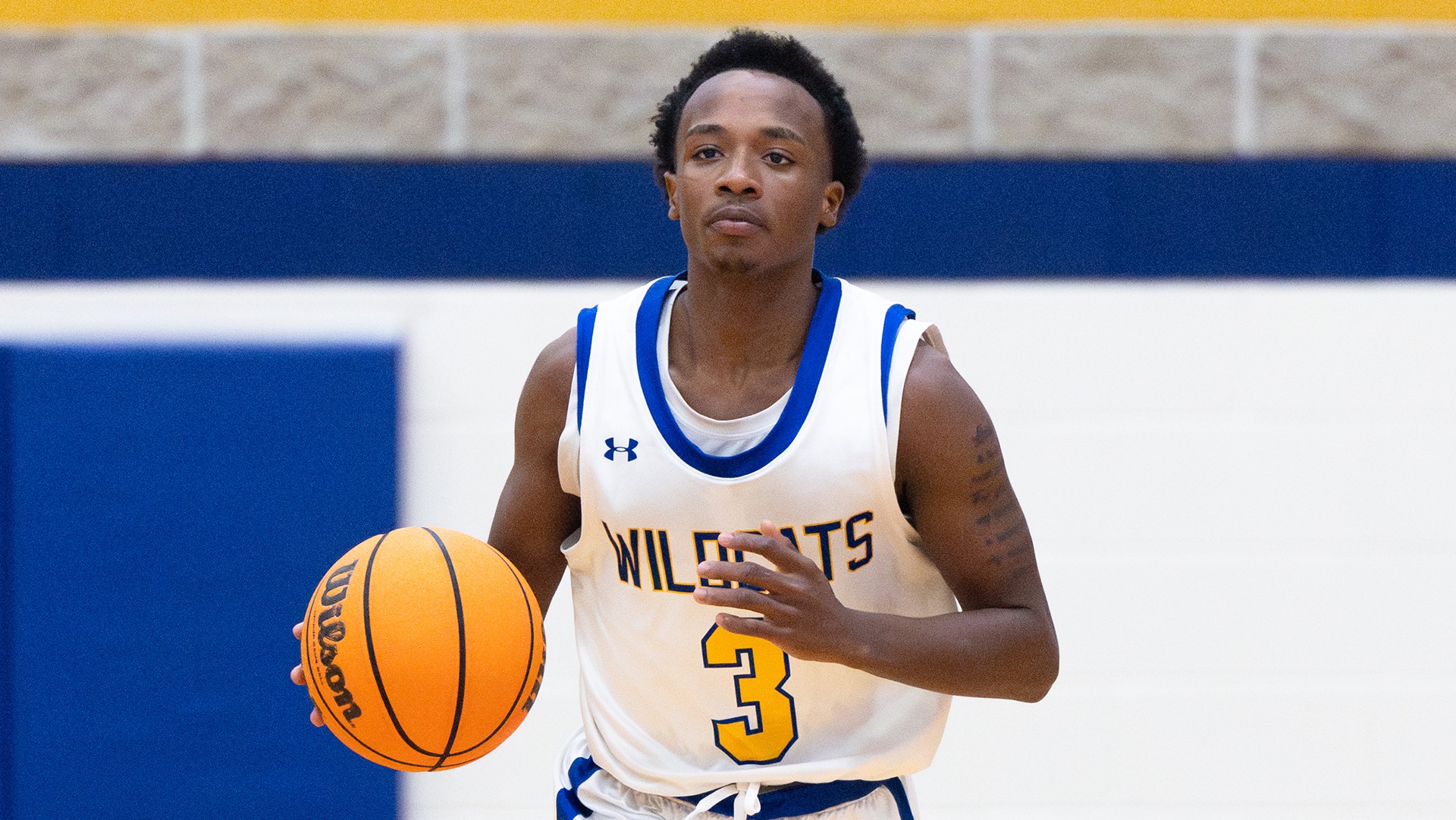 Azariah Harrison and the Wildcats hosted WIT on Wednesday.