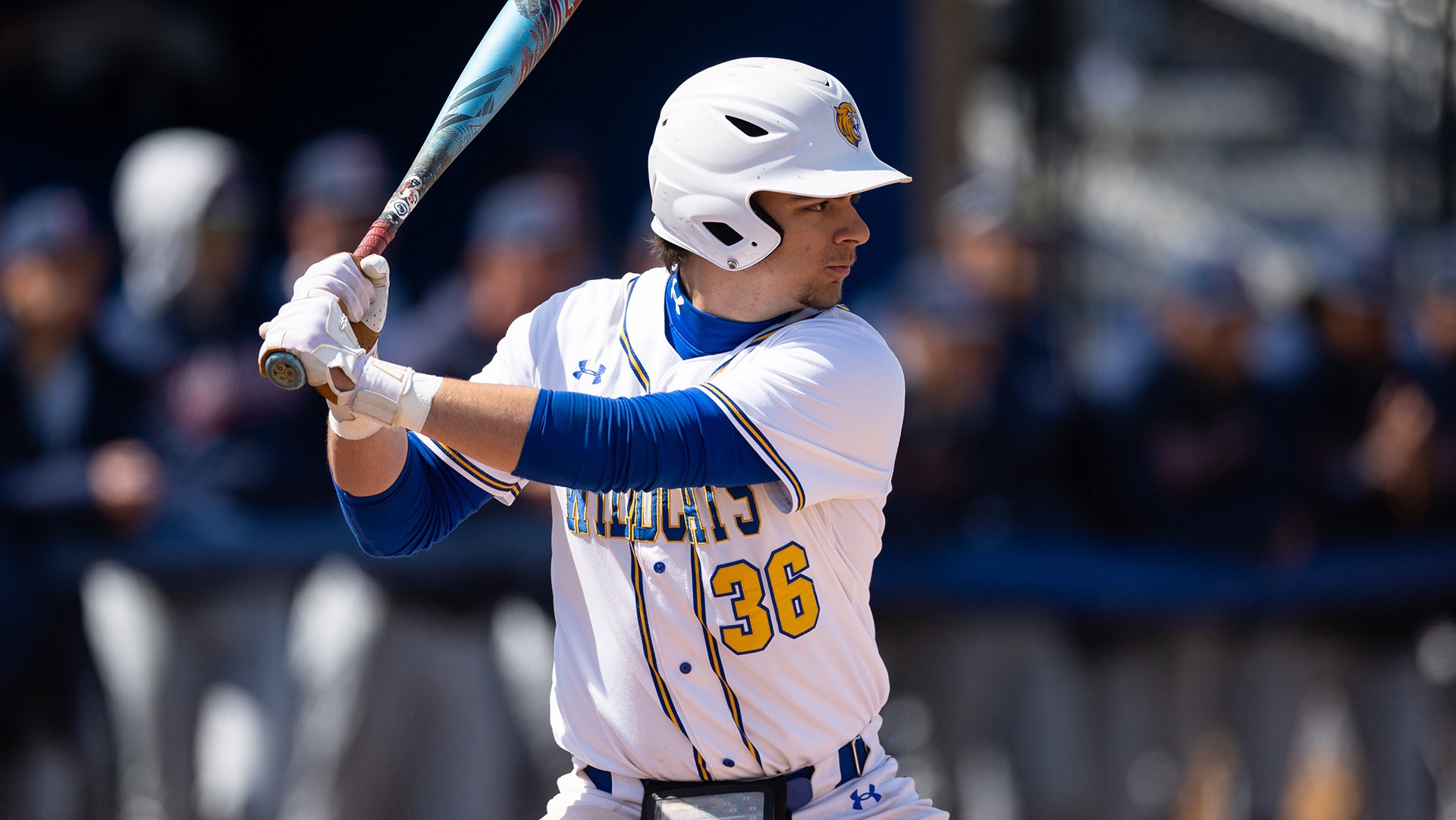 Dimitri Staphos and the Wildcats played at Gordon on Saturday.