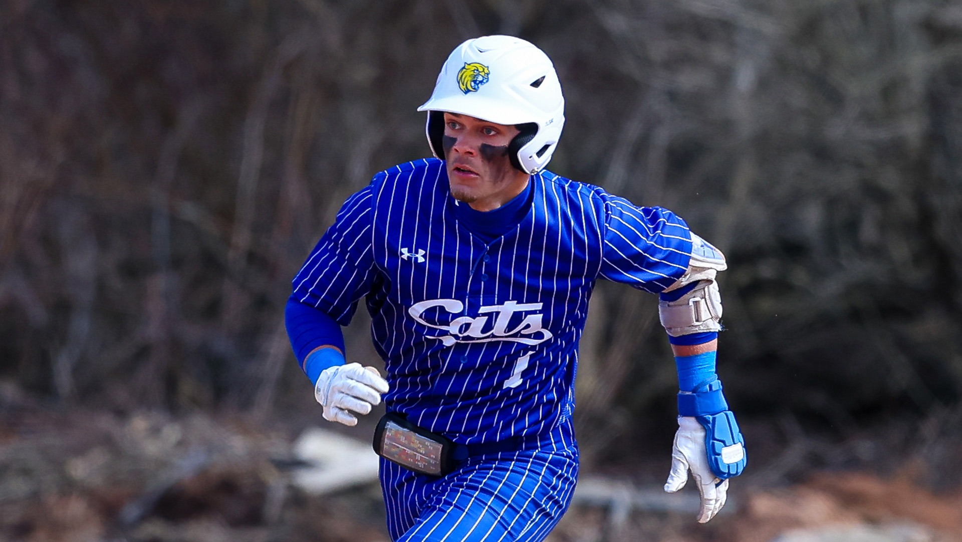 Yedan Diaz and the Wildcats downed Nichols on Tuesday.