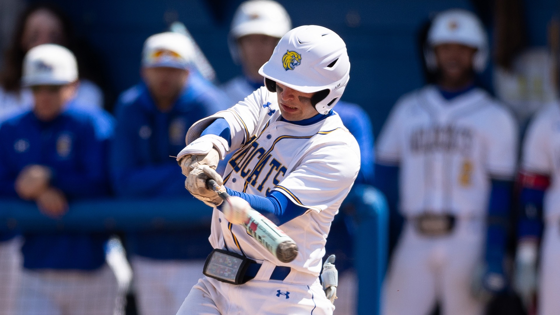 Ryan Ducey and the Wildcats fell to Babson.