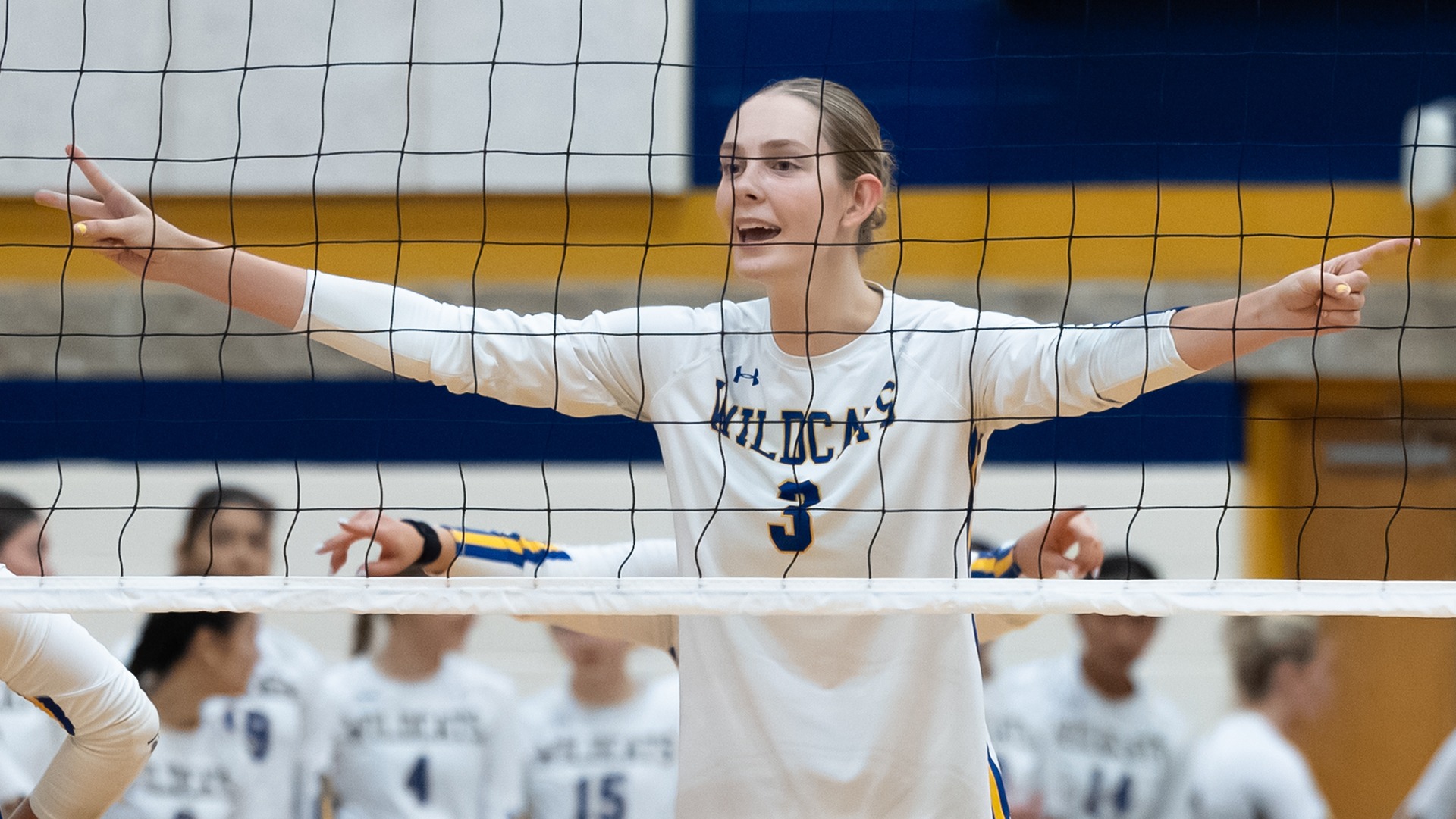 Bailey Koopman and the Wildcats fell to the Bantams.