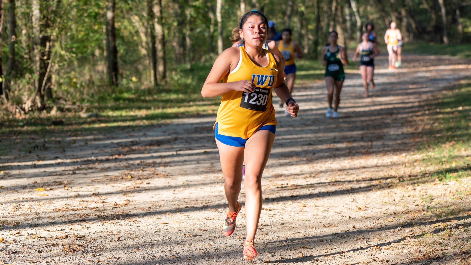 Track and Field And Cross Country Athletes Compete at WebbDavidson