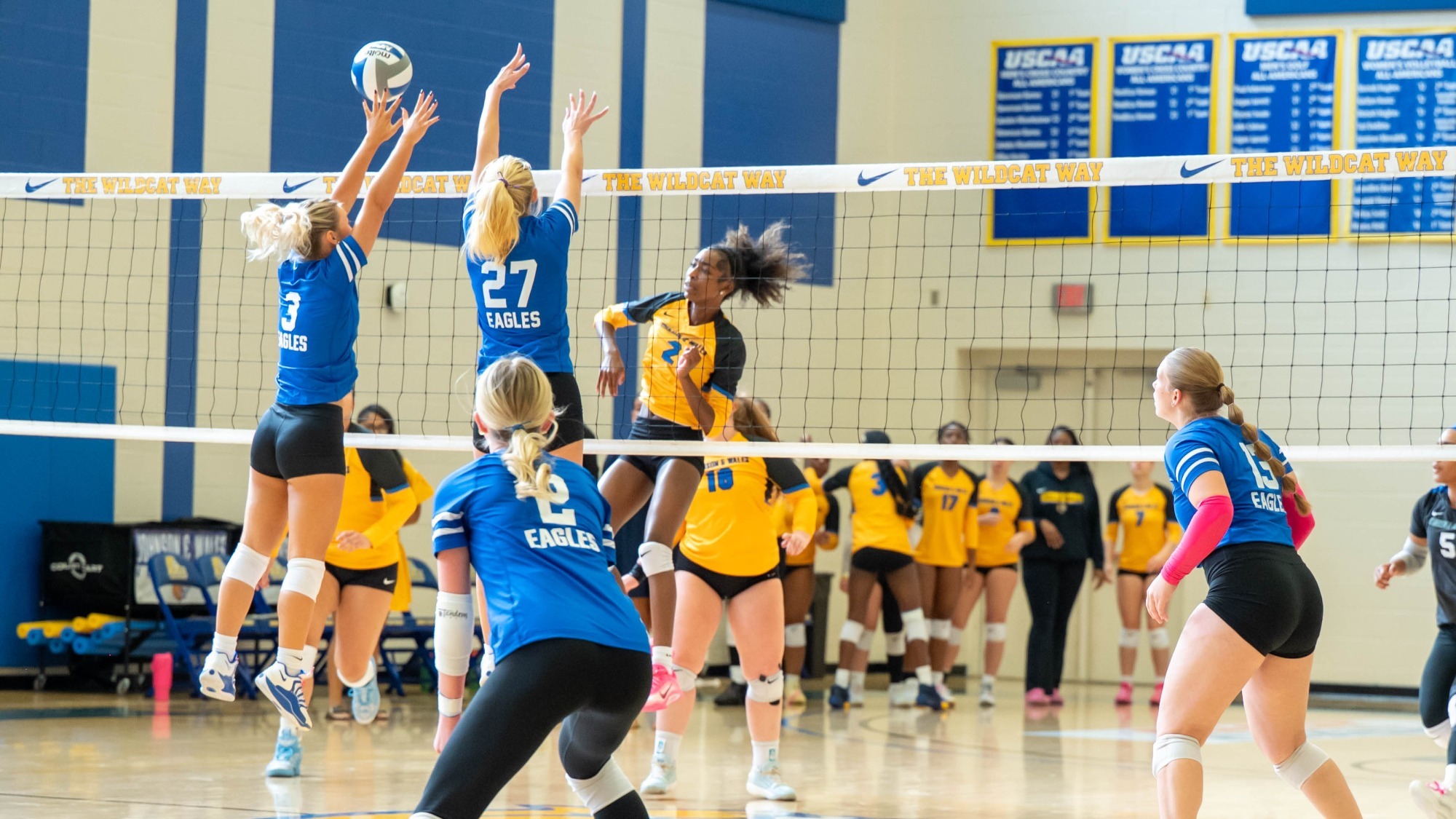 woman hitting a volleyball