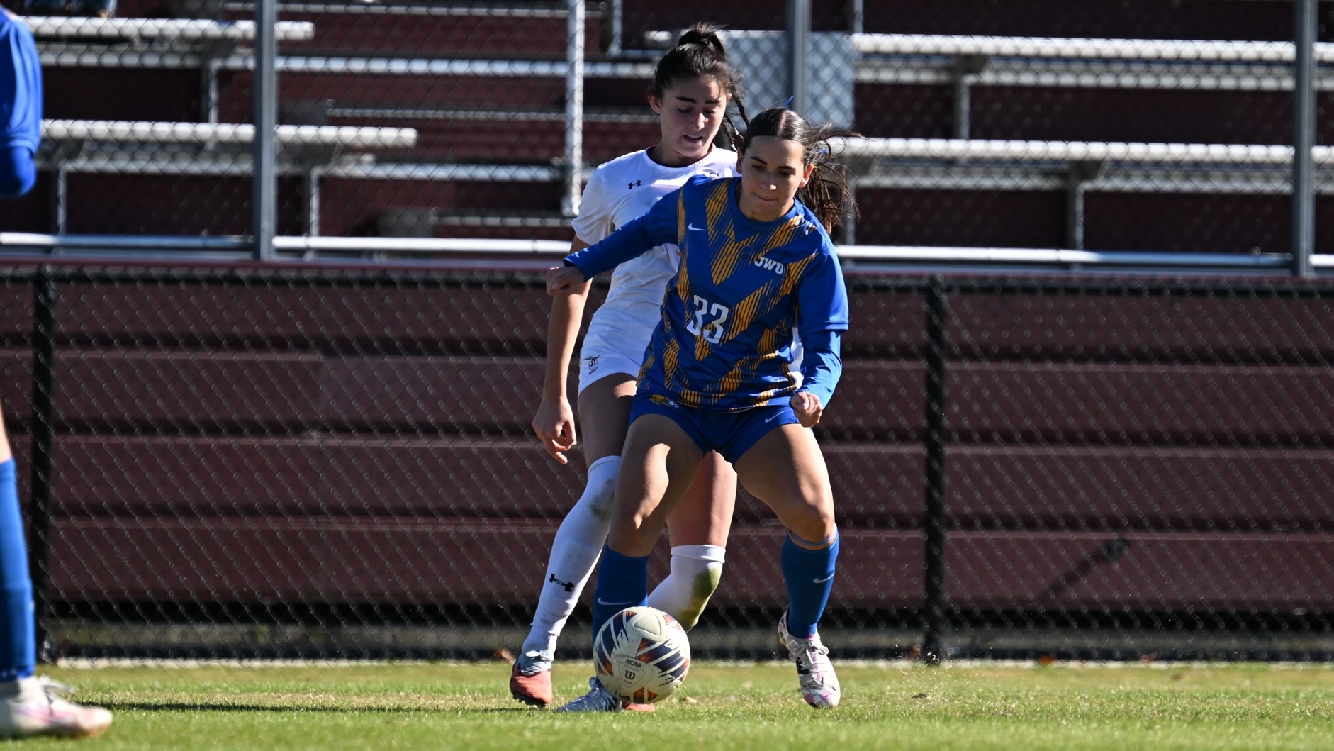 women battling for a soccer ball