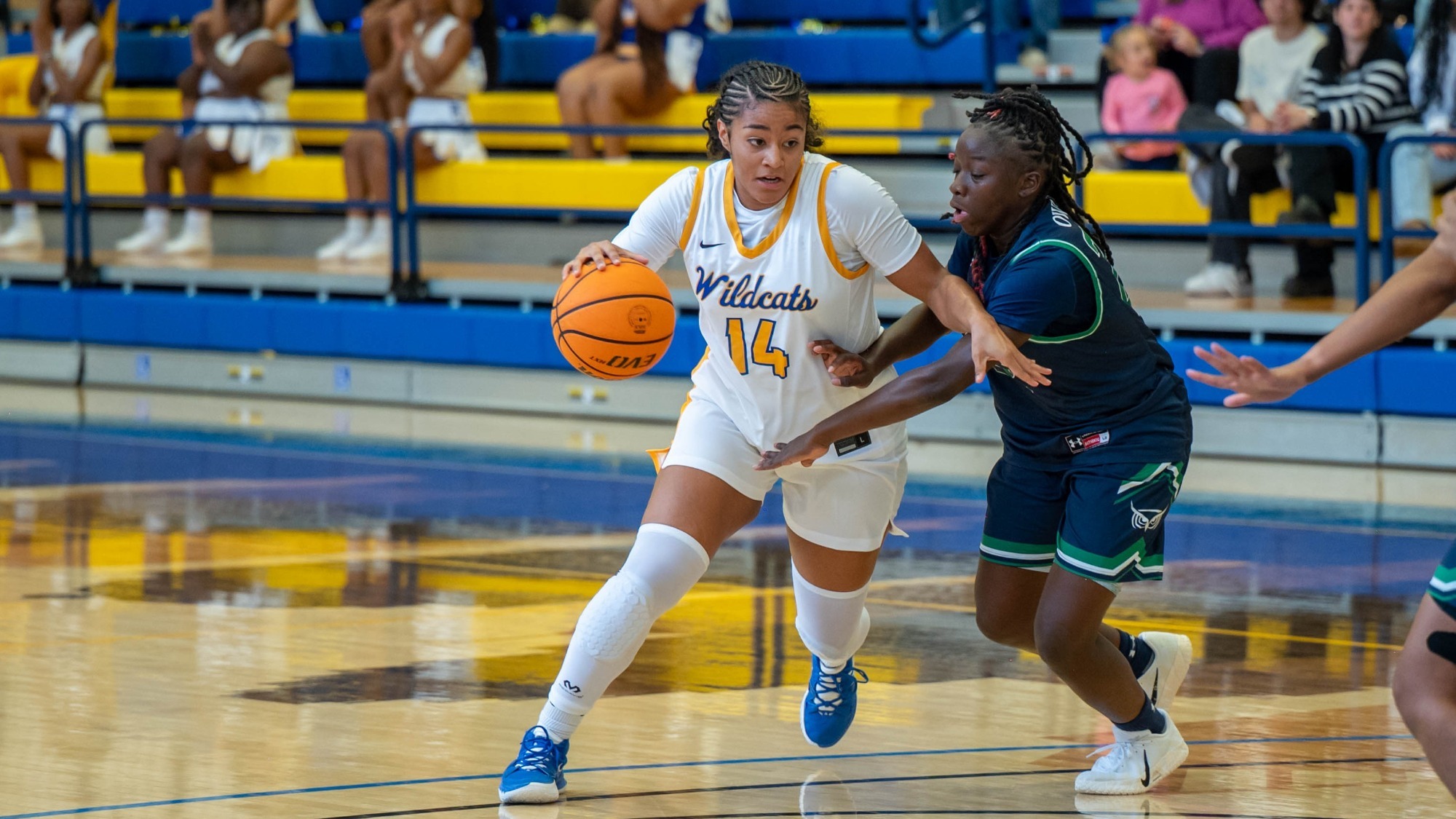 woman dribbling a basketball