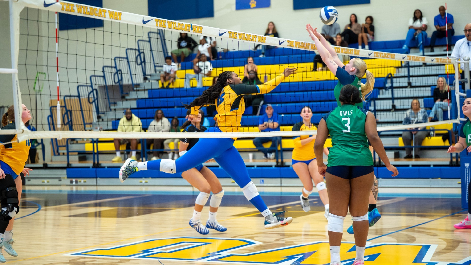 women playing volleyball