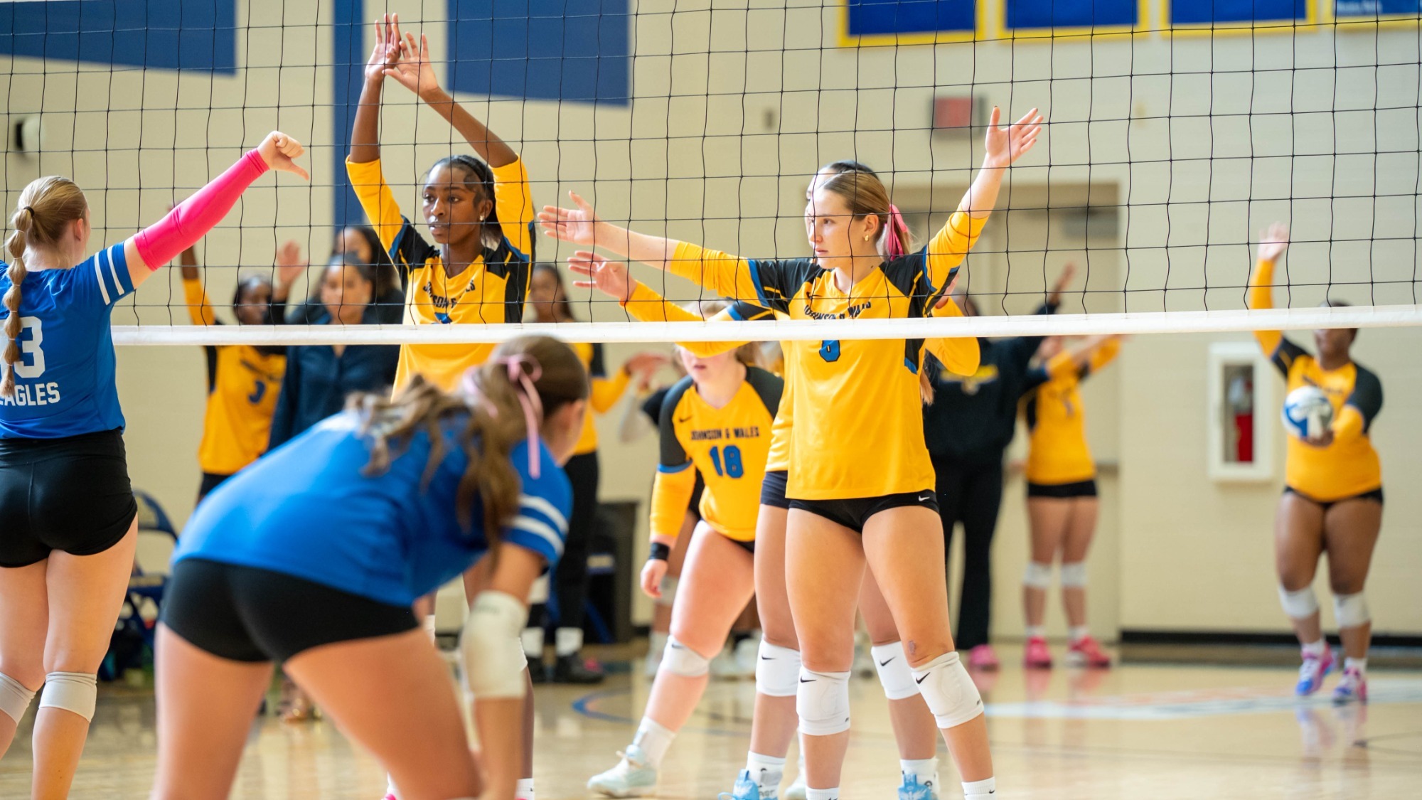 women standing at a volleyball net