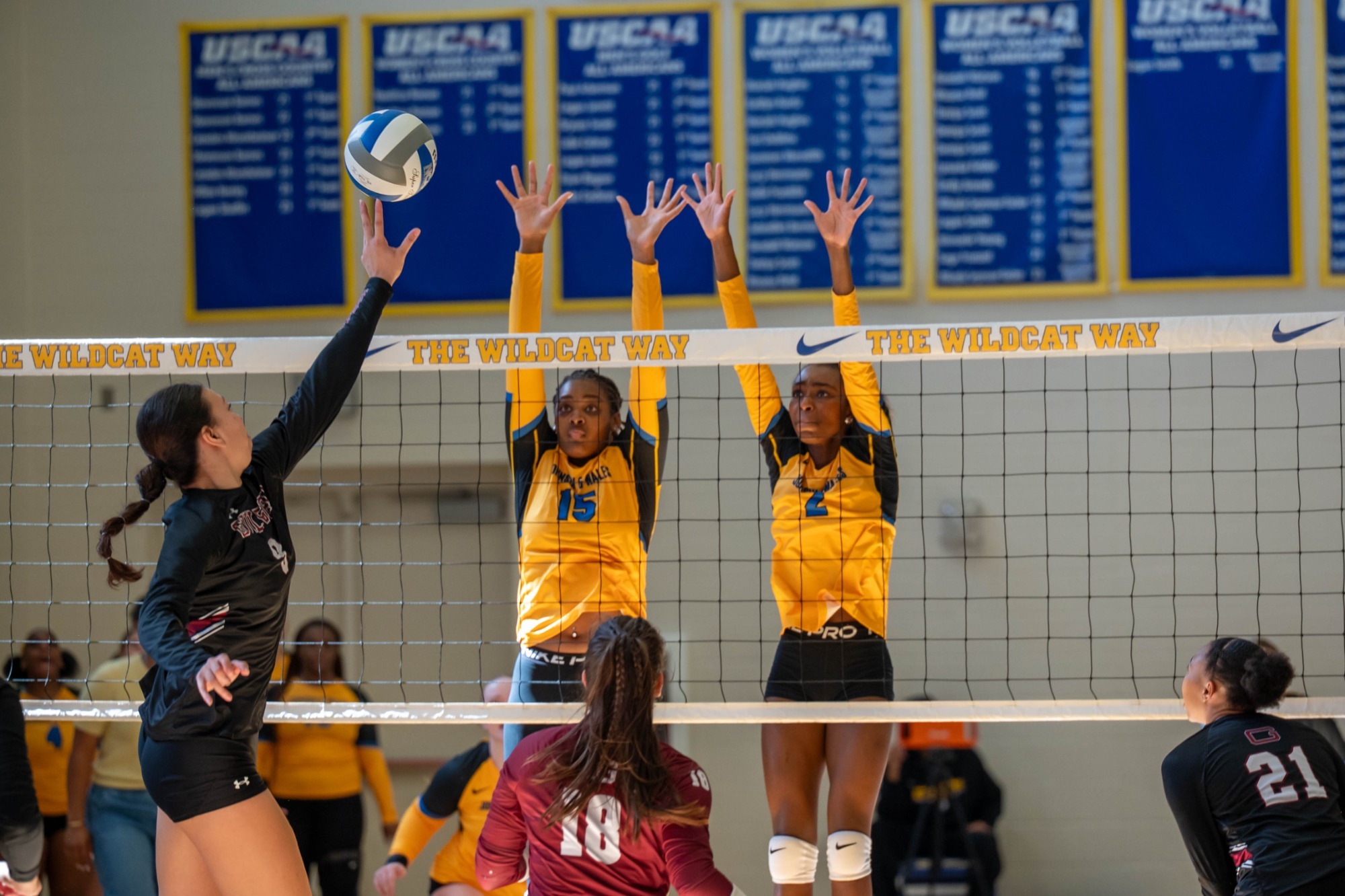 women playing volleyball