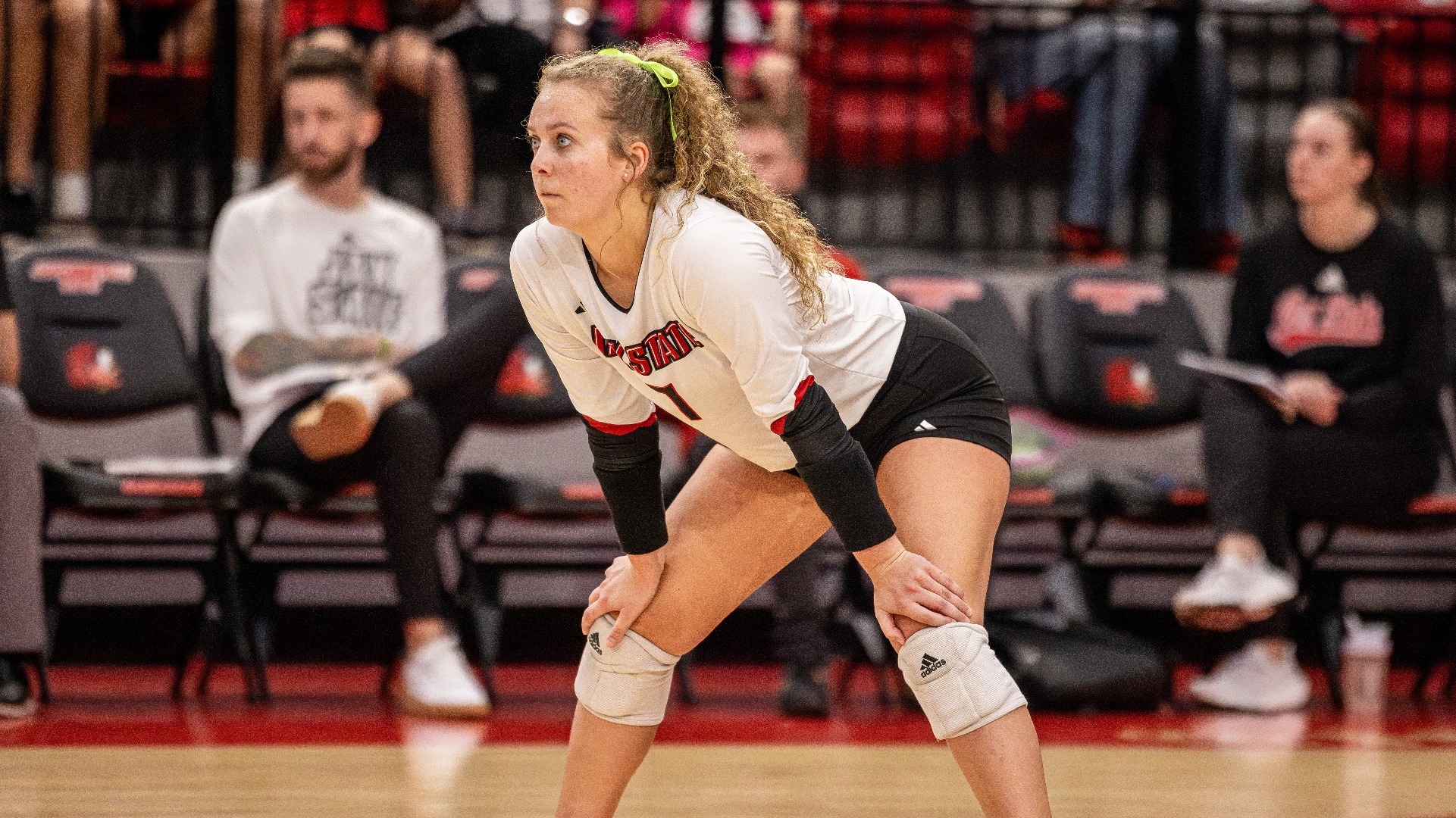 Brooklyn Schiffli Volleyball Jacksonville State University Athletics