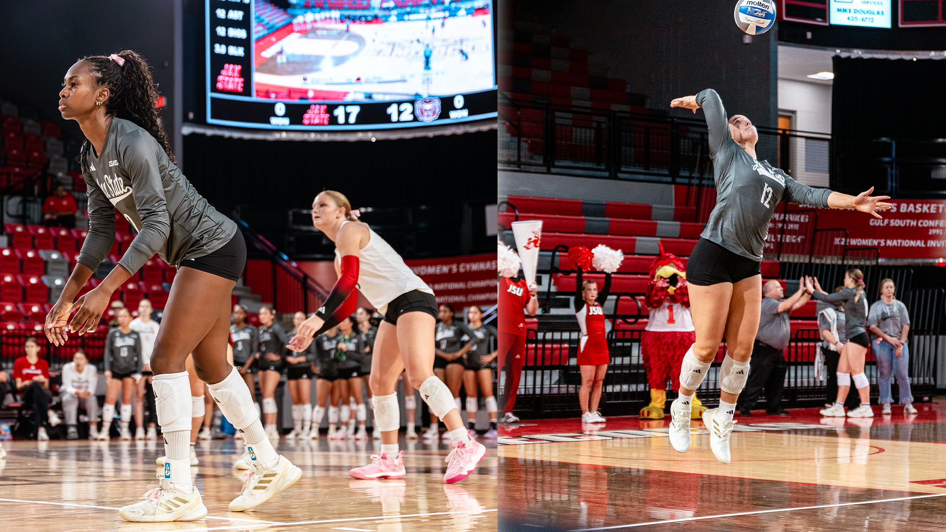 Williams and Solomon 25