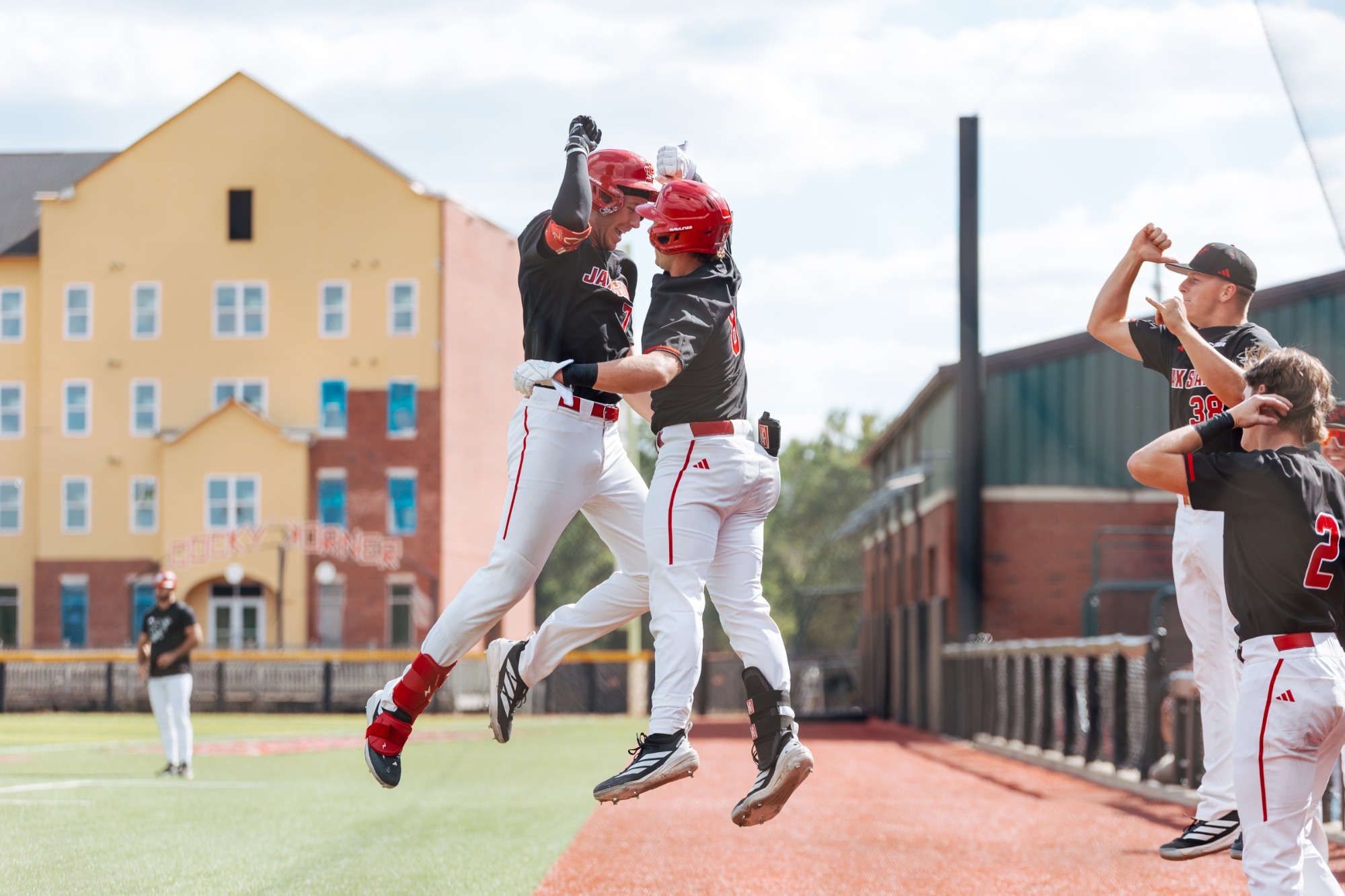 Baseball Celebration