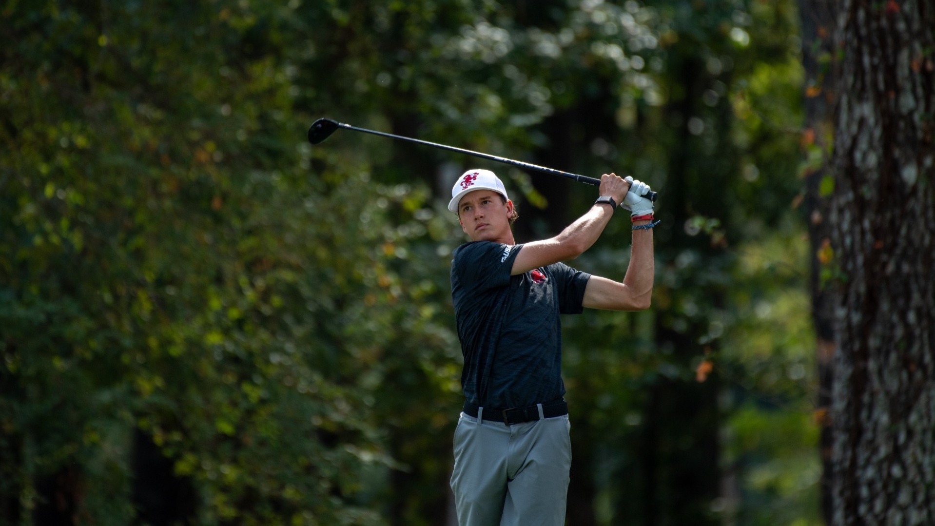 campbell-limestone-springs