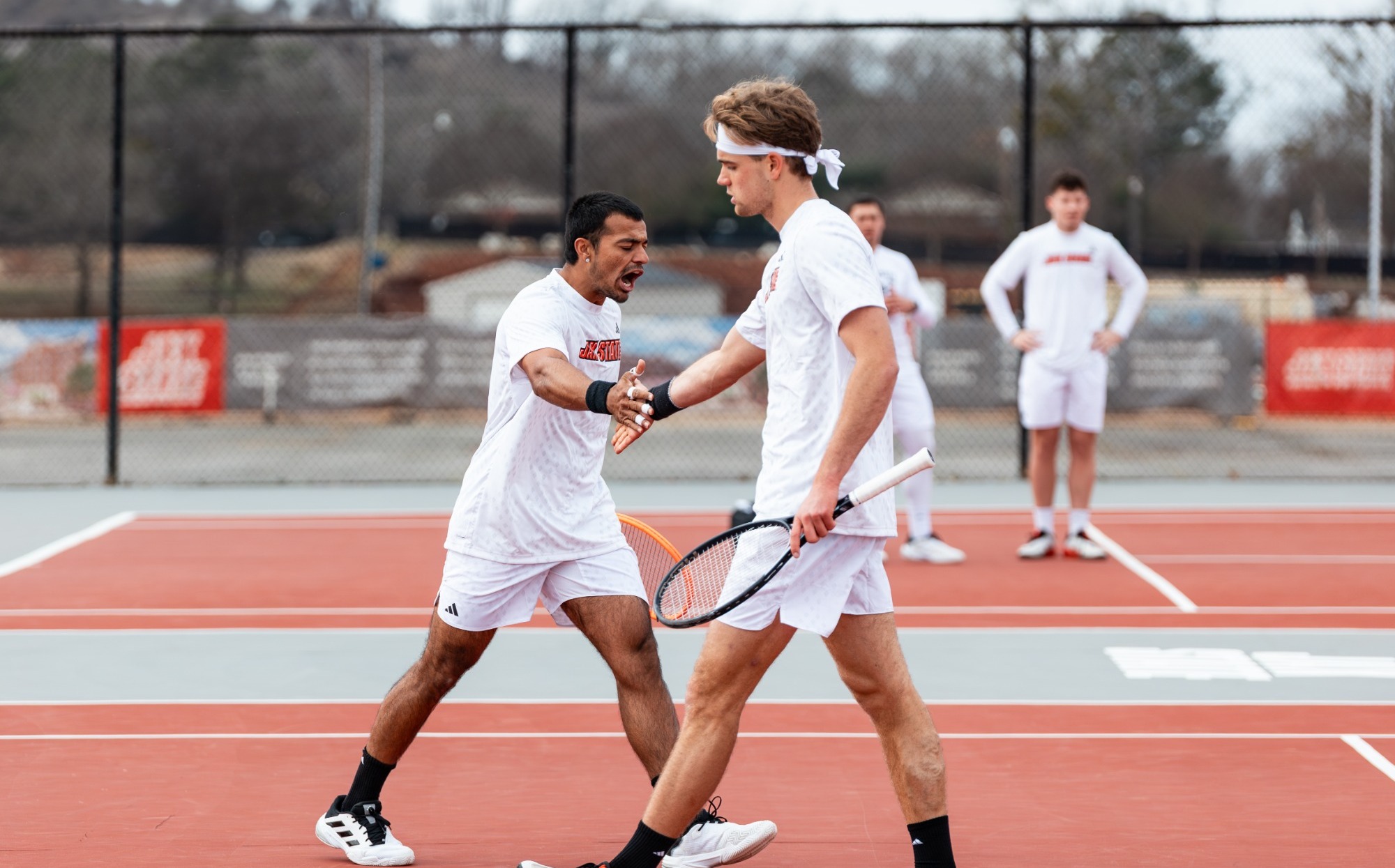 Dahiya and De Visser 26