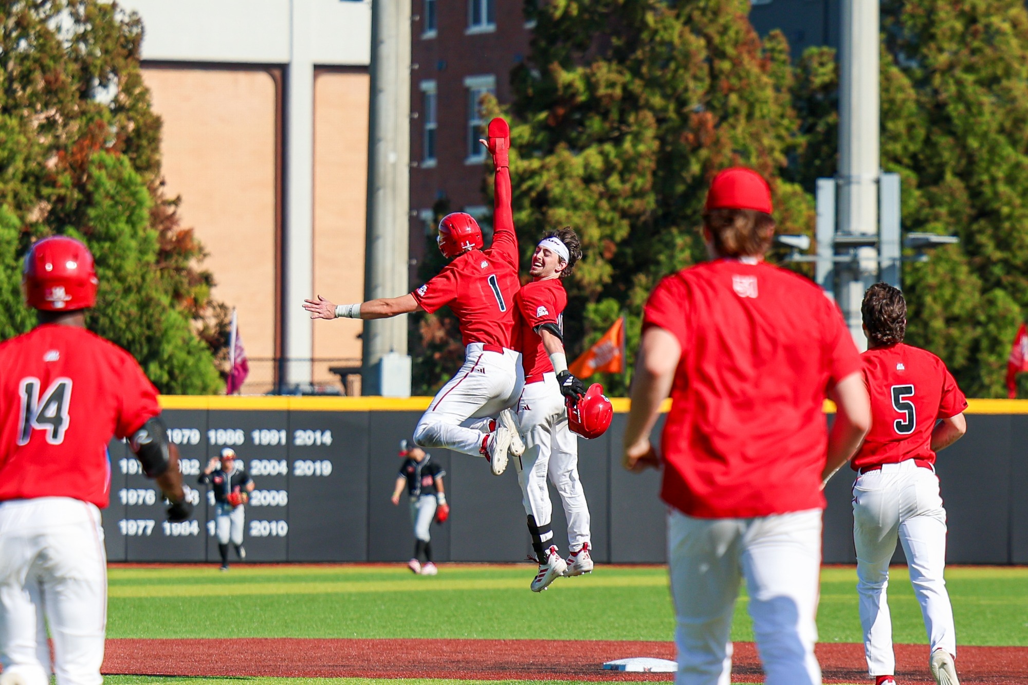 Baseball Celebration