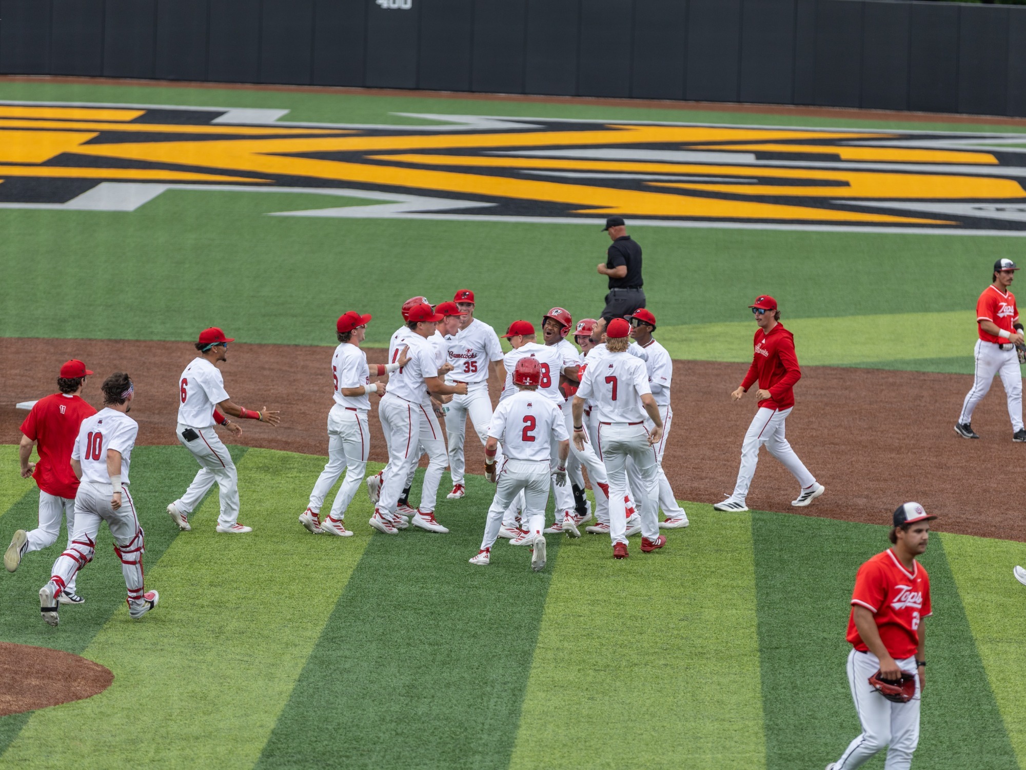 Baseball Celebration