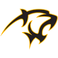 Opponent Logo