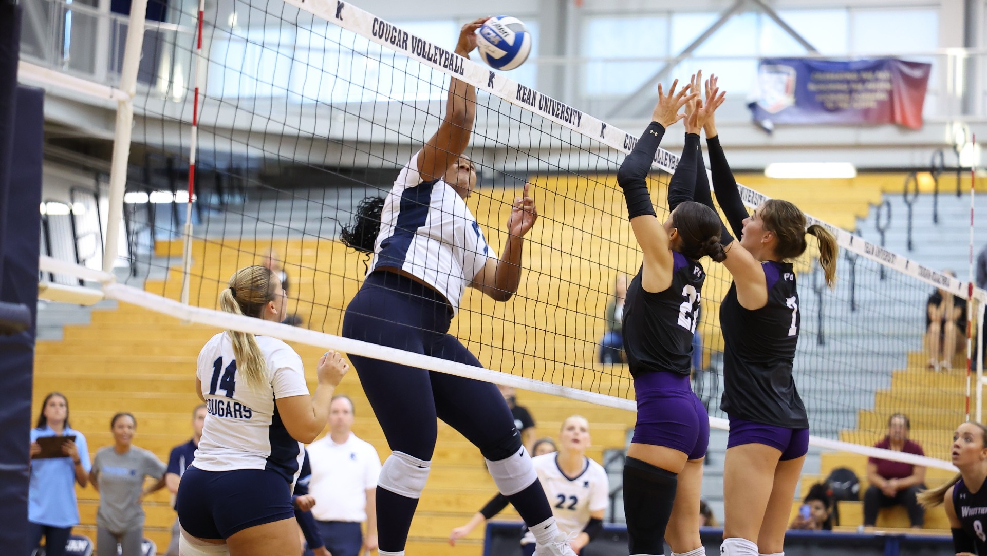 WVB Morrison 26B