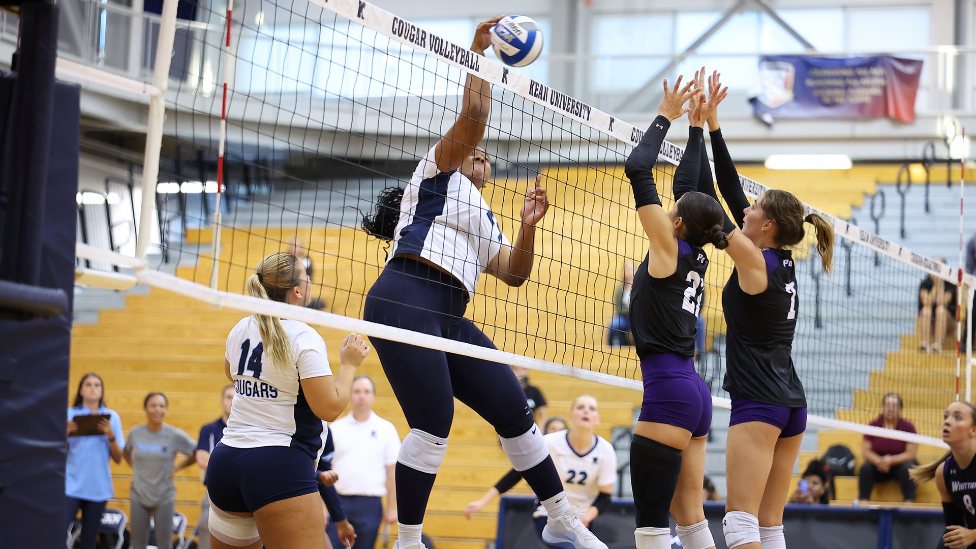 WVB Morrison 1000th Kill 26A