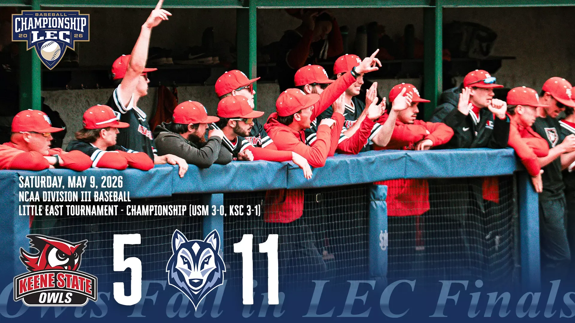 A group of Keene State players points from the dugout to acknowledge a good play on the field