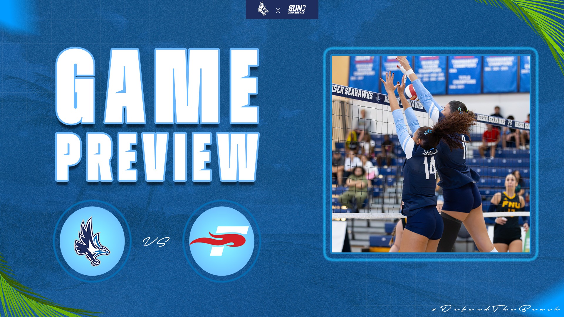 Preview vb vs SEU
