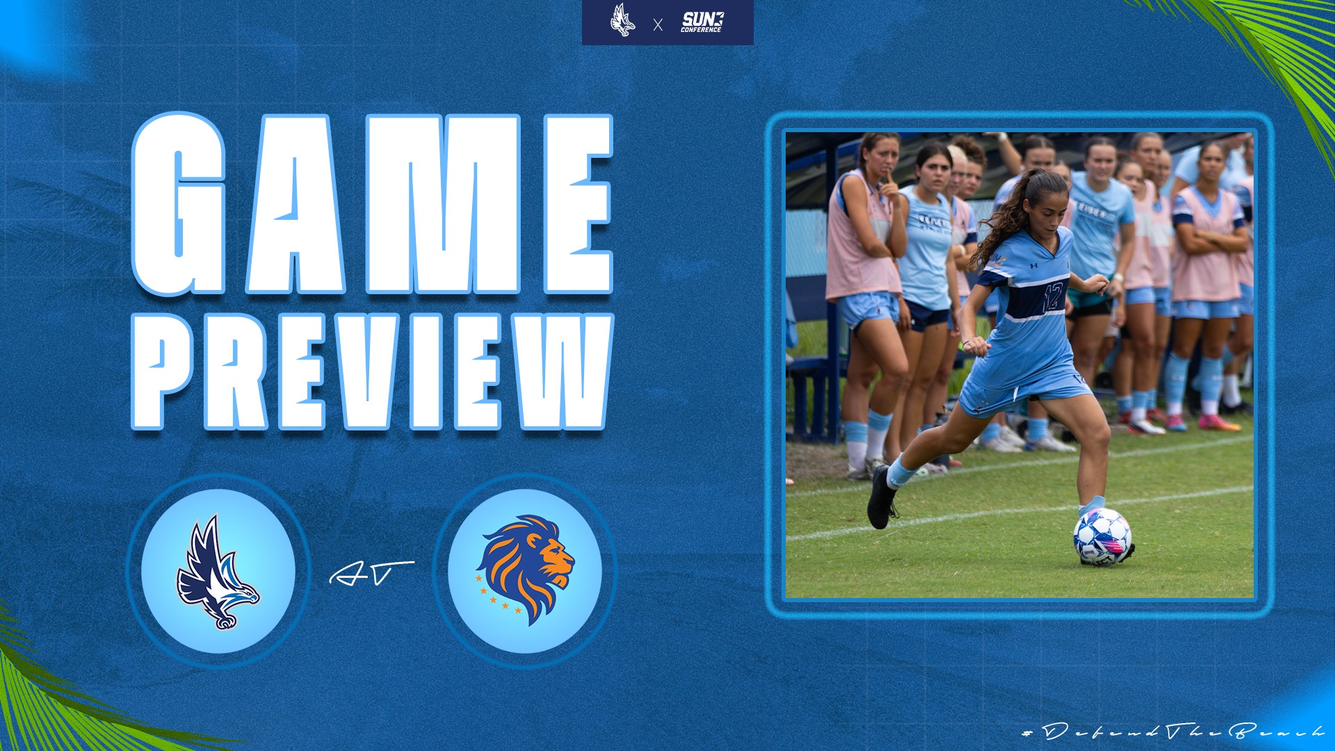 Preview FMU