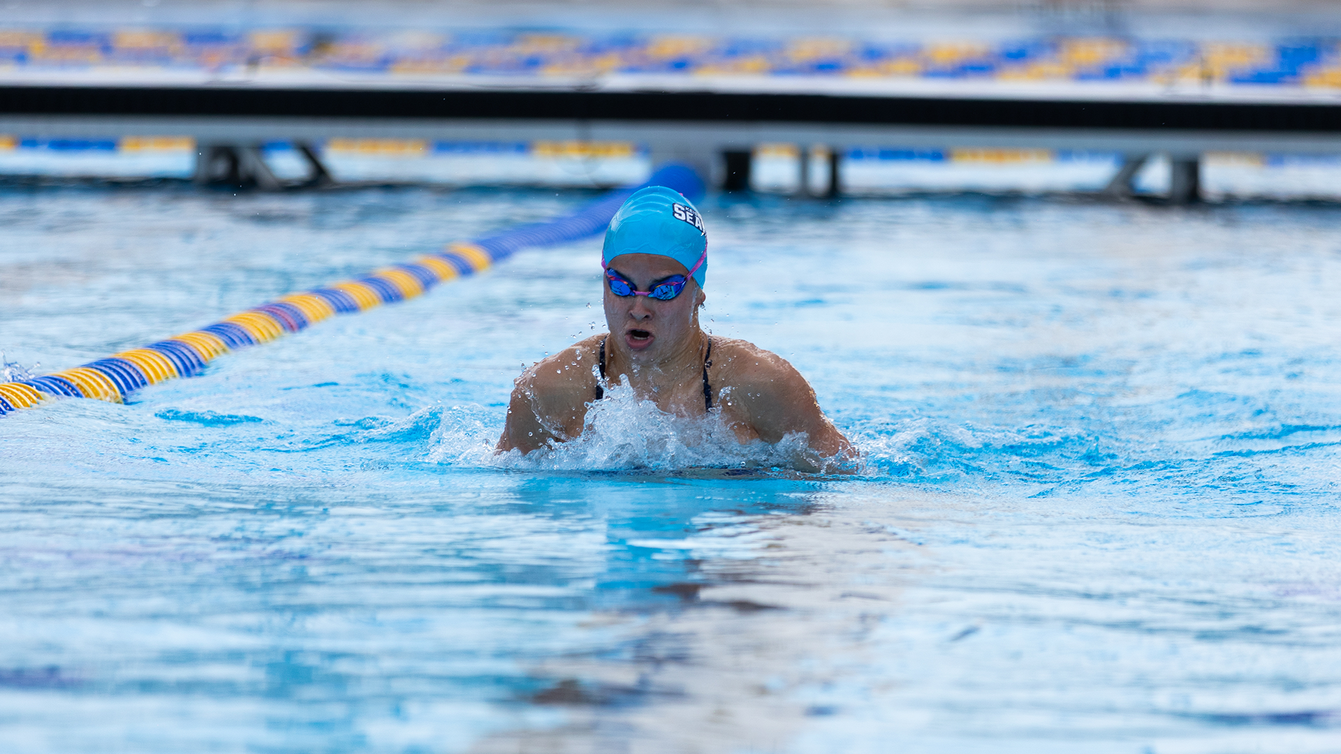 Kate FIU Meet